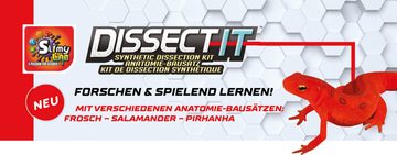 Slimy® Knetform-Set Lab Dissect-IT Frosch (1-tlg), Experimentieren & Forschen Sezier-Set - prämiertes MINT Schleim Labor