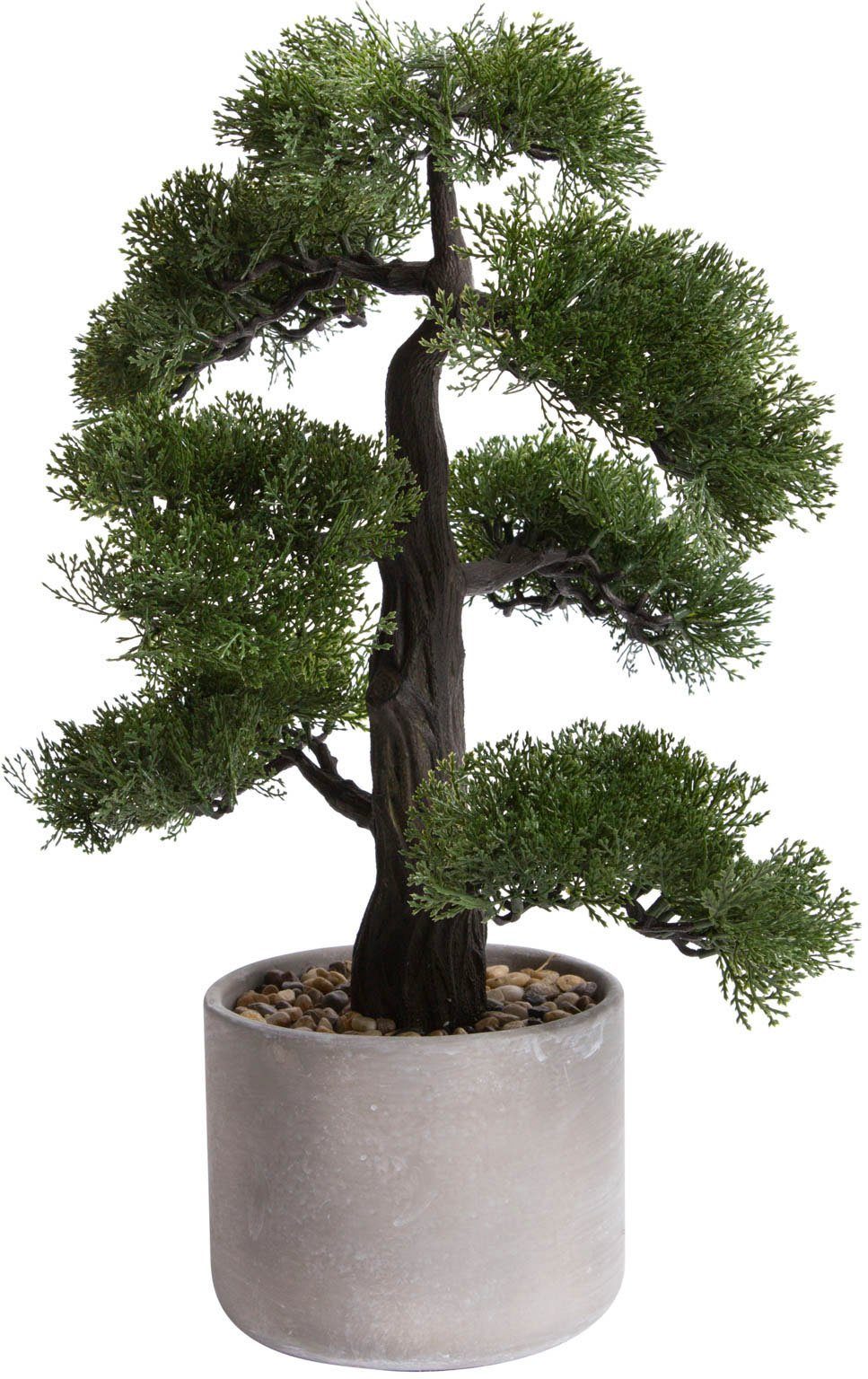 Kunstbonsai Ceder Bonsai Ceder, Botanic-Haus, Höhe 50 cm