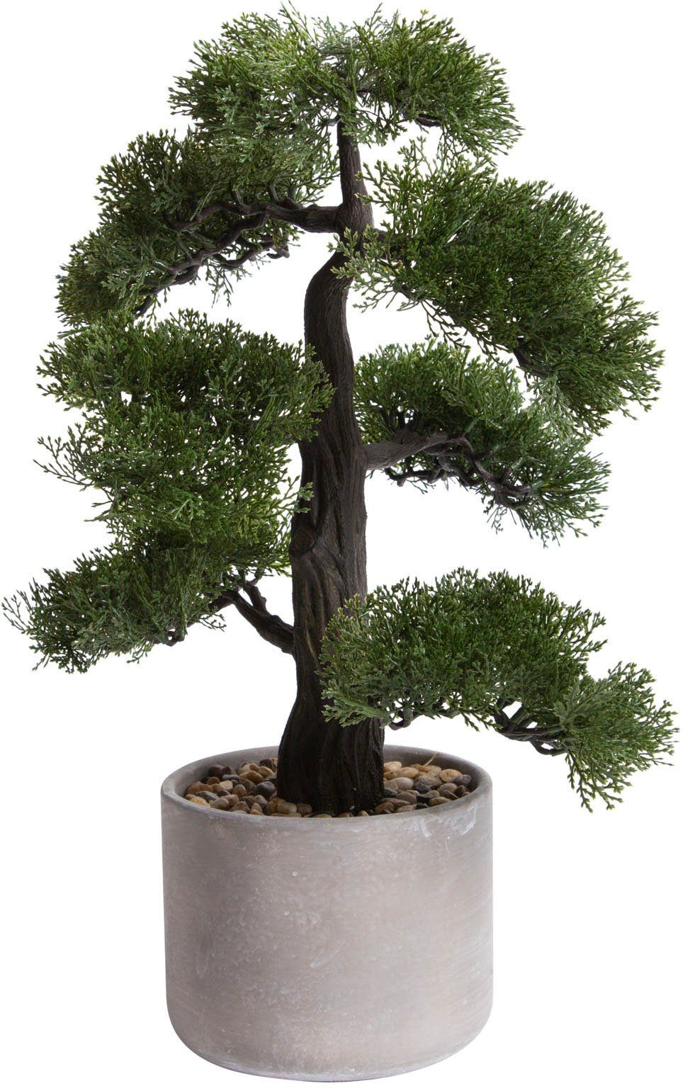Kunstbonsai »Ceder Bonsai« Ceder, Botanic-Haus, Höhe 50 cm-Otto