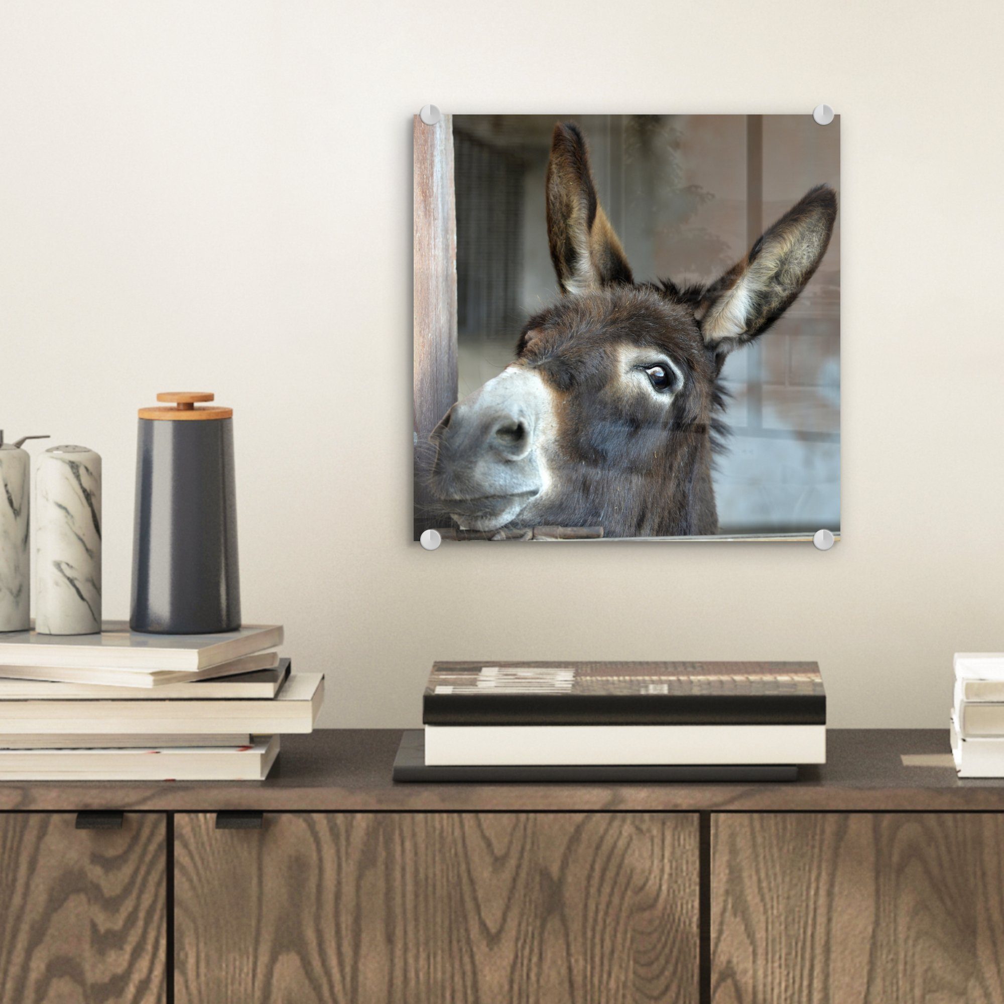 MuchoWow Acrylglasbild Esel, Inkl. Aufhängung, Bilder günstig online kaufen