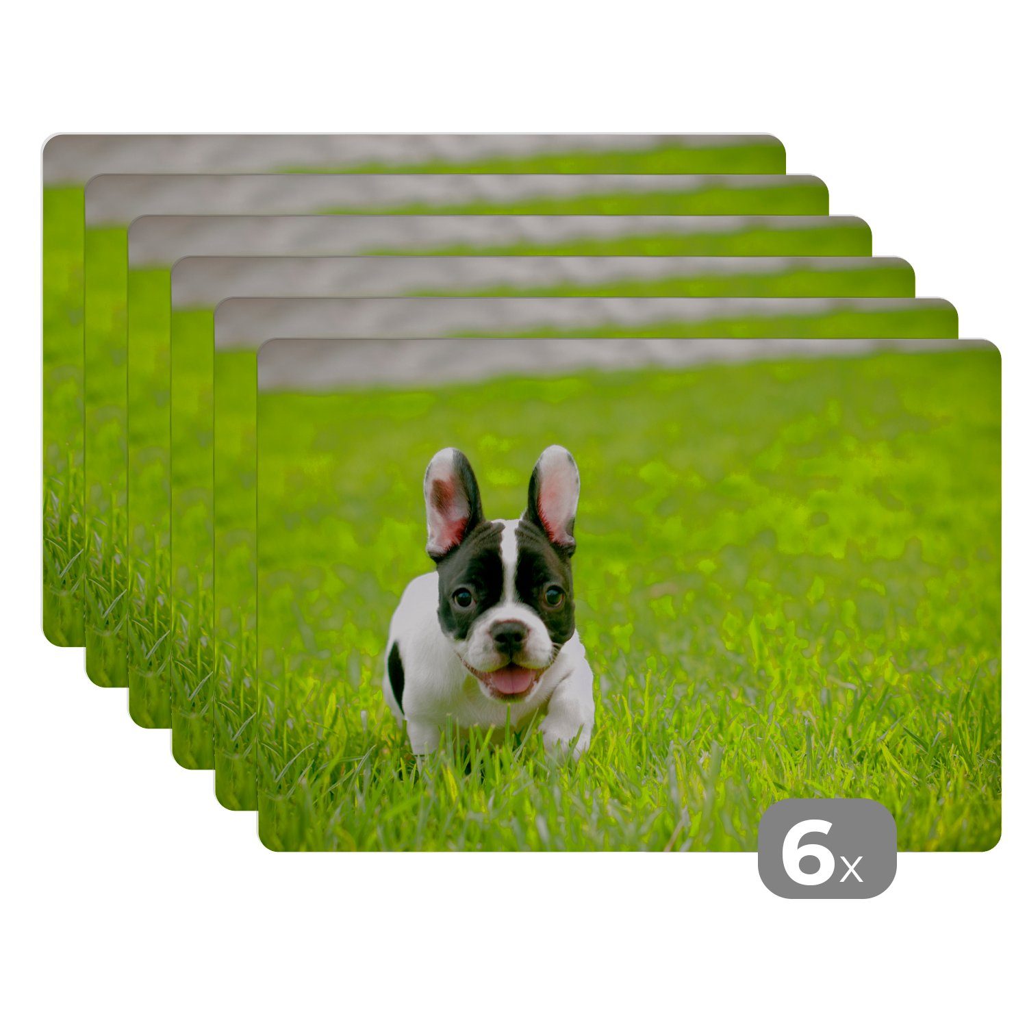 Platzset, Französische Bulldogge - Welpe - Gras, MuchoWow, (6-St), Platzset, Platzdecken, Platzmatte, Tischmatten, Schmutzabweisend