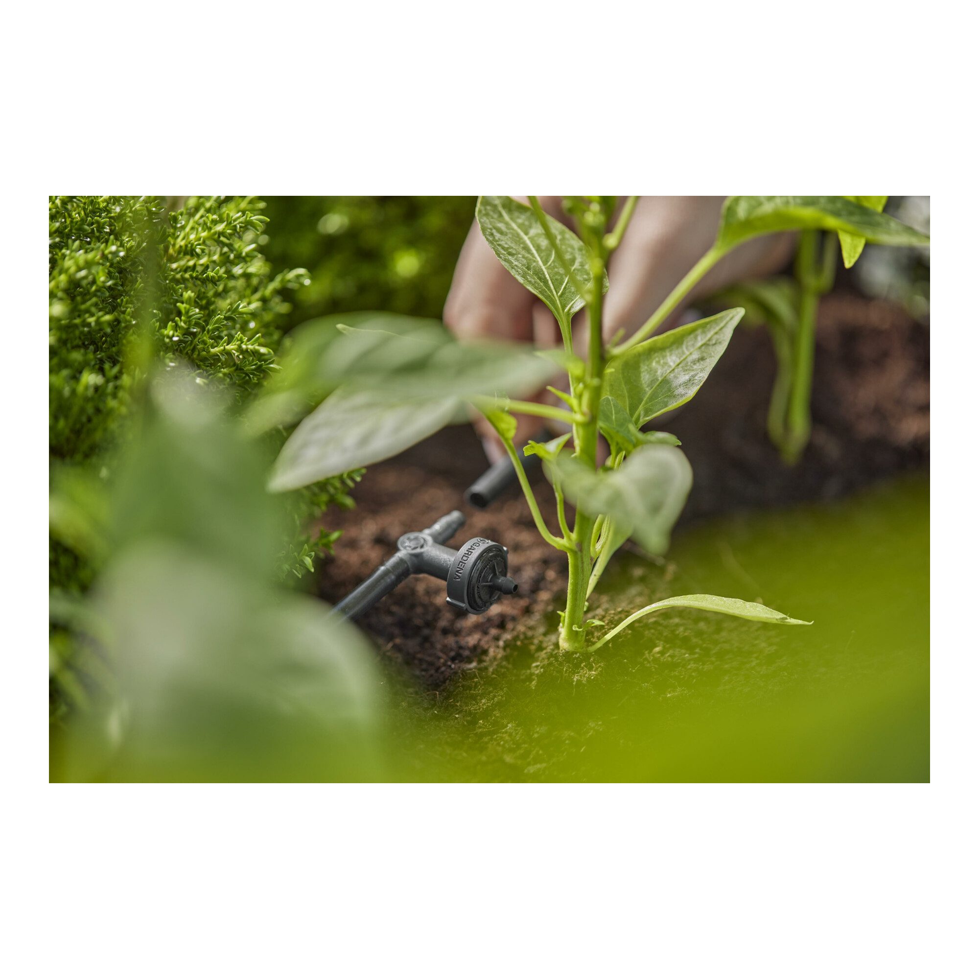 GARDENA Bewässerungssystem Gardena Micro-Drip-System Reihentropfer druckausgleichend 2 l/h - Inha