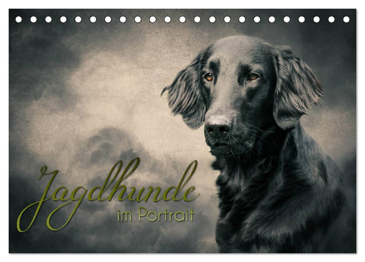 CALVENDO Wandkalender Jagdhunde im Portrait (Tischkalender 2027 DIN A5 quer), CALVENDO Monat