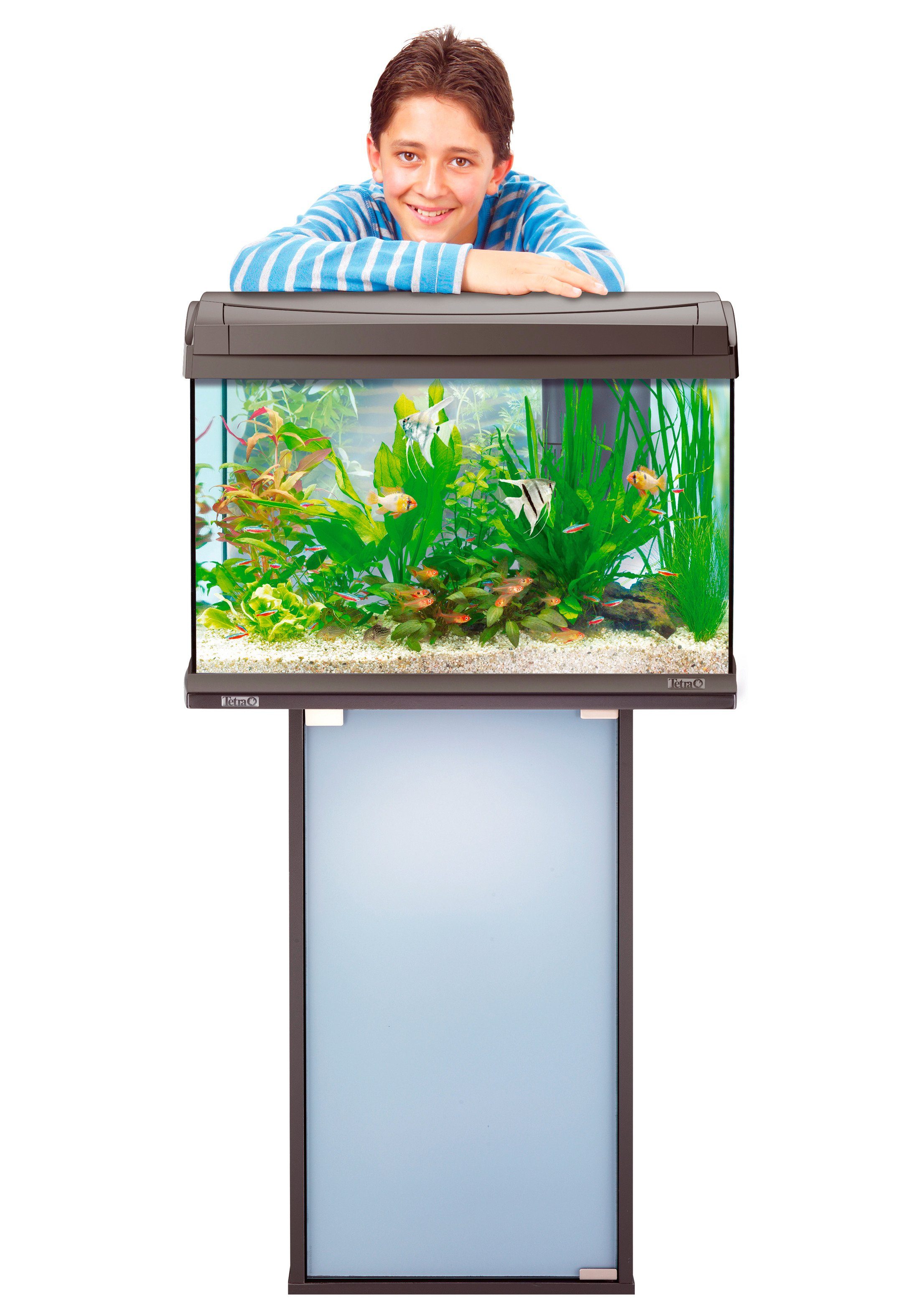 Tetra Aquariumunterschrank »AquaArt« BxTxH: 61,5x31,6x72,5 cm online kaufen  | OTTO