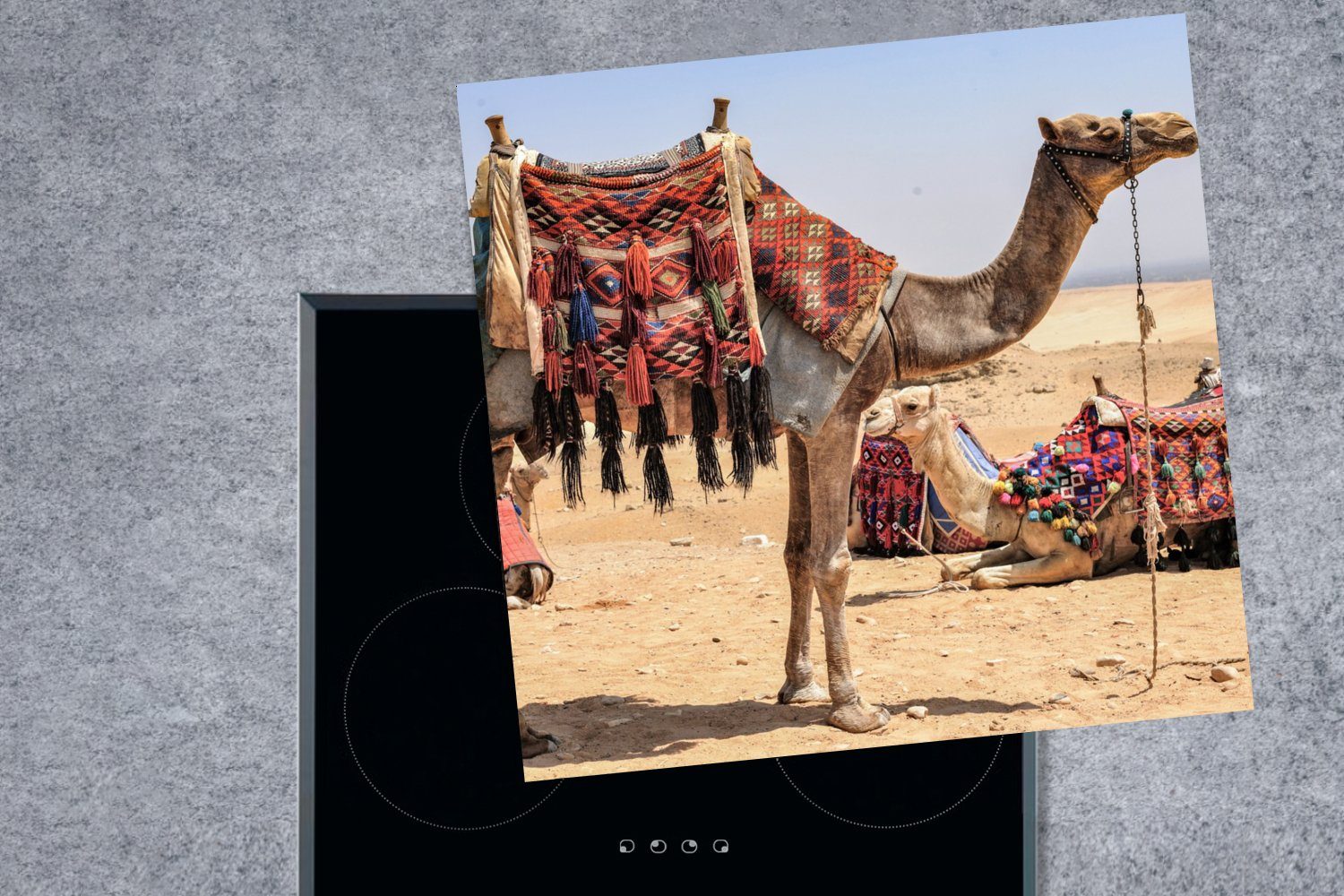 tlg), cm, Kamel, Vinyl, Arbeitsplatte küche für (1 Ceranfeldabdeckung, Ägypten - MuchoWow - 78x78 Wüste Herdblende-/Abdeckplatte