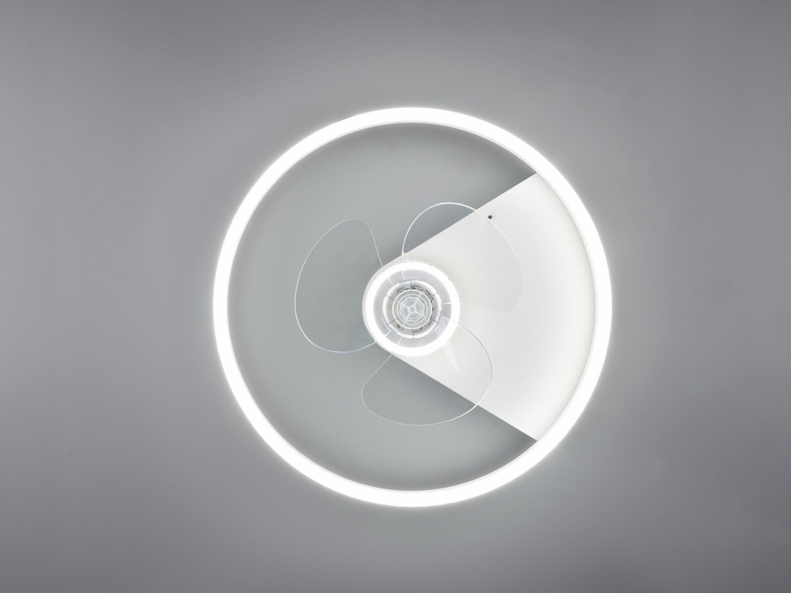Deckenlüfter Ventilator Deckenventilator-en LED LED einstellbar, einstellbar, Lichtfarbe integriert, mit Licht, Ø50cm Weiß, Deckenleuchte, fest Lichtfarbe meineWunschleuchte Timerfunktion,