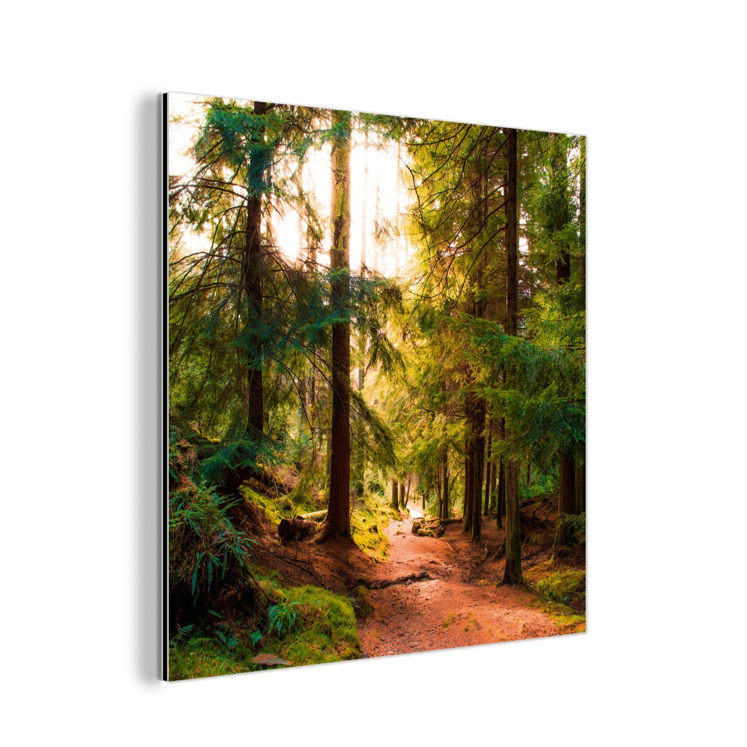 MuchoWow Metallbild Wald - Weg - Bäume - Grün - Sonne - Natur, (1 St), Alu-Dibond-Druck, Gemälde aus Metall, Aluminium deko