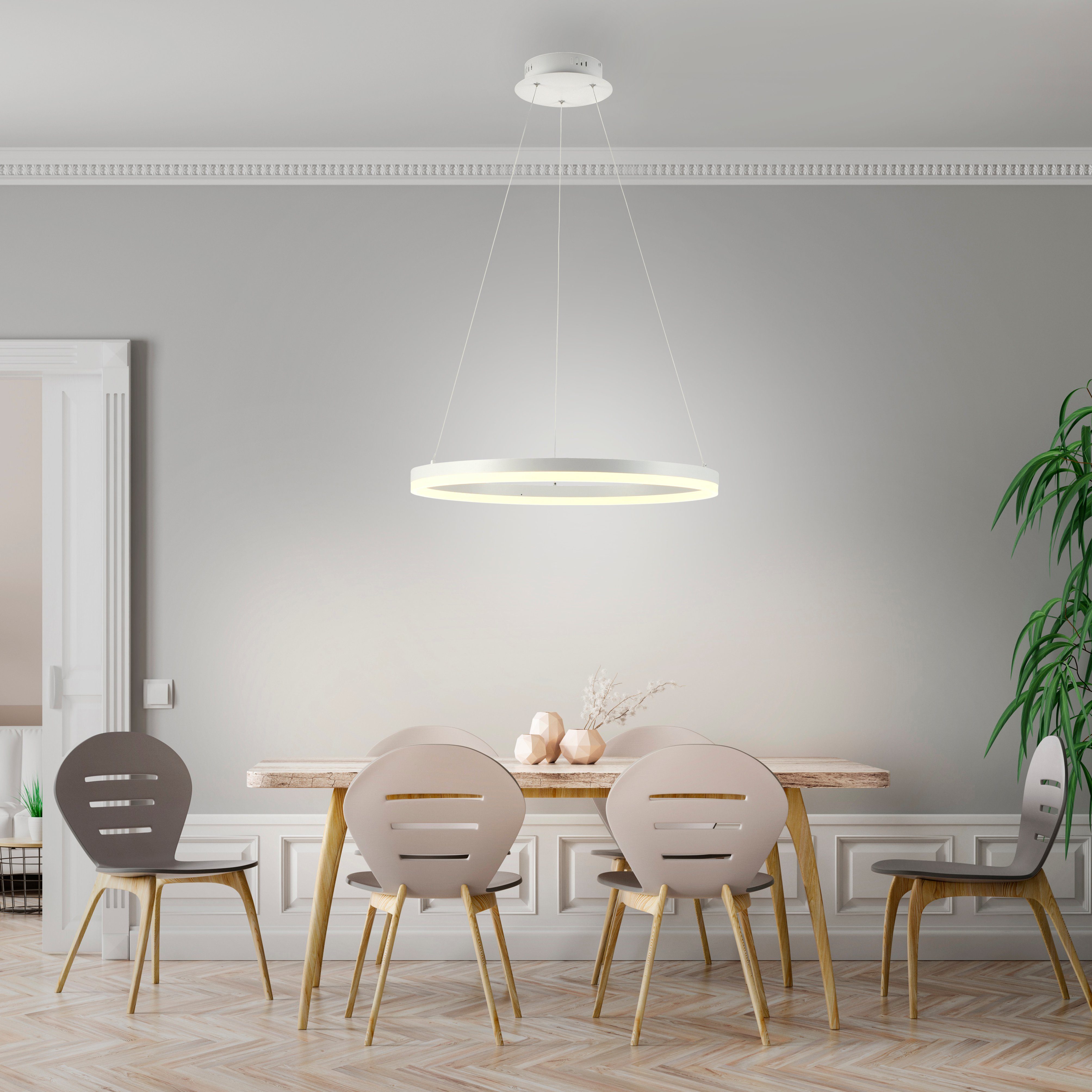 nach dimmbar, Paul LED, Warmweiß, vom TITUS, fest schlichten Design Pendelleuchte Netz, im Simply Neuhaus integriert, Trennung LED Pendellampe Dim, LED modernen, Memory,