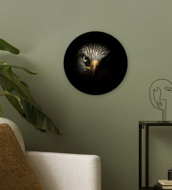MuchoWow Gemälde Vogel - Adler - Raubvögel - Auge - Schnabel - Licht, (1 St), Kreis Wanddekoration Forex, Rundes Wandbild, Wohnzimmer, 30x30 cm