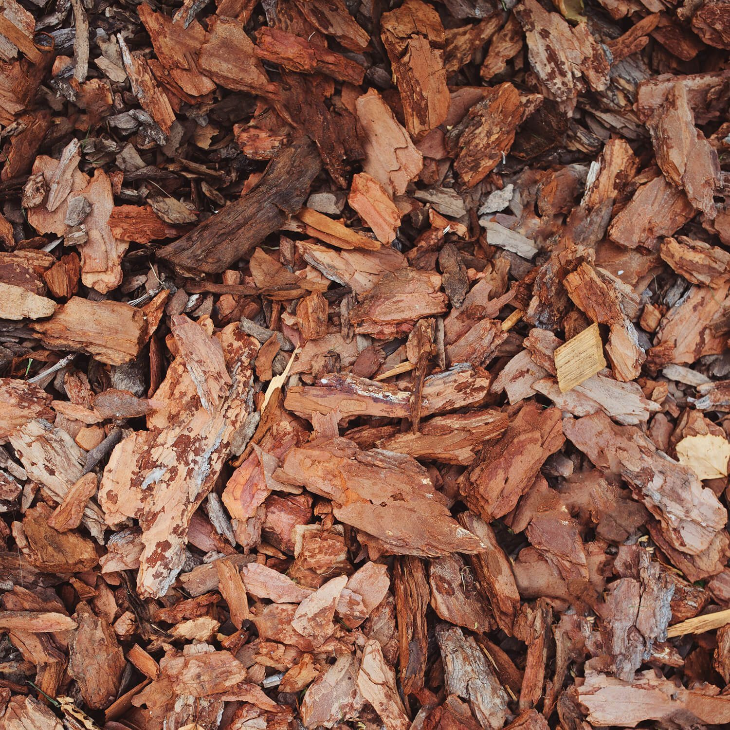 GALAMIO Rindenmulch Kiefer Grob, (Palette, 12-St)