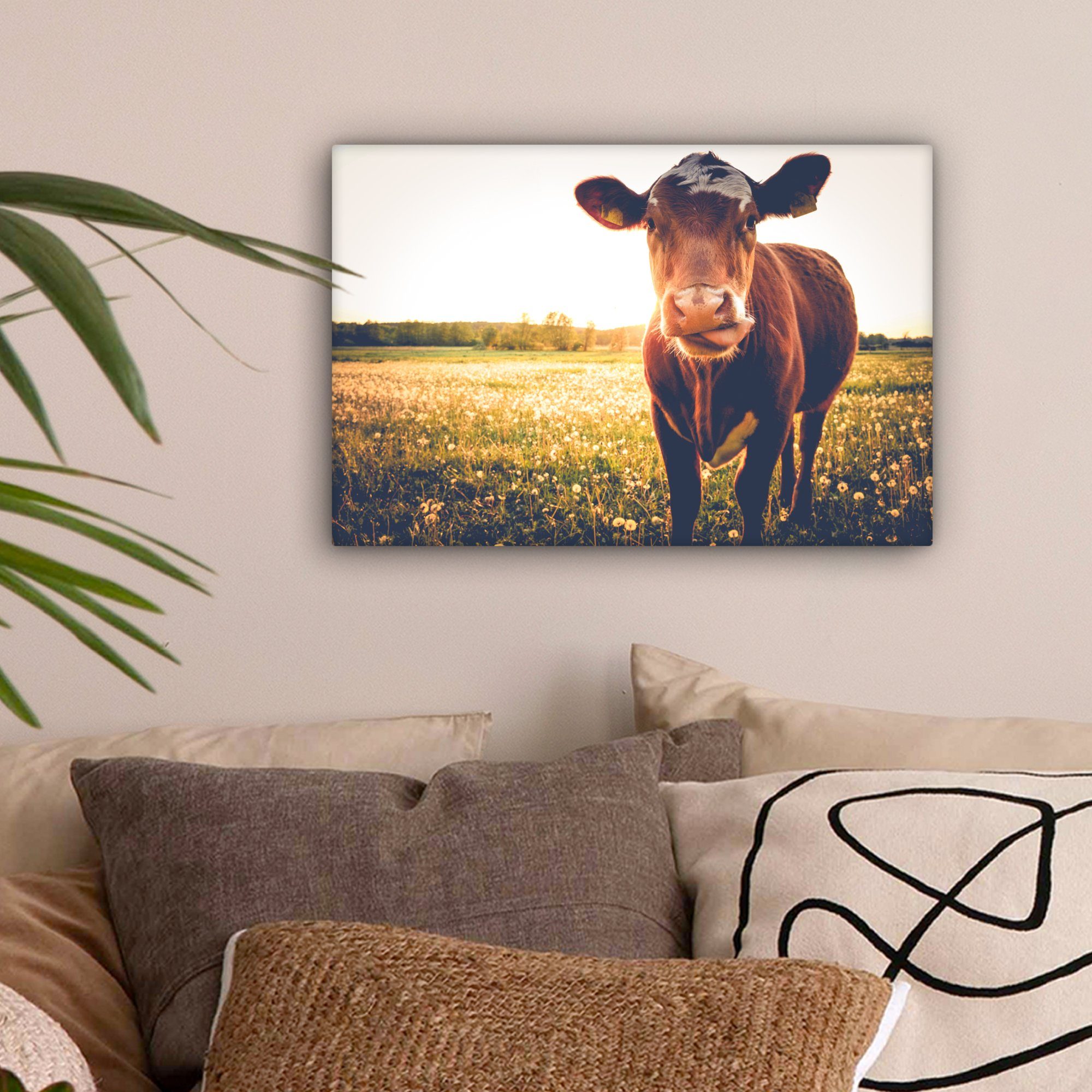 OneMillionCanvasses® Leinwandbild Kuh - Sonnenuntergang - günstig online kaufen