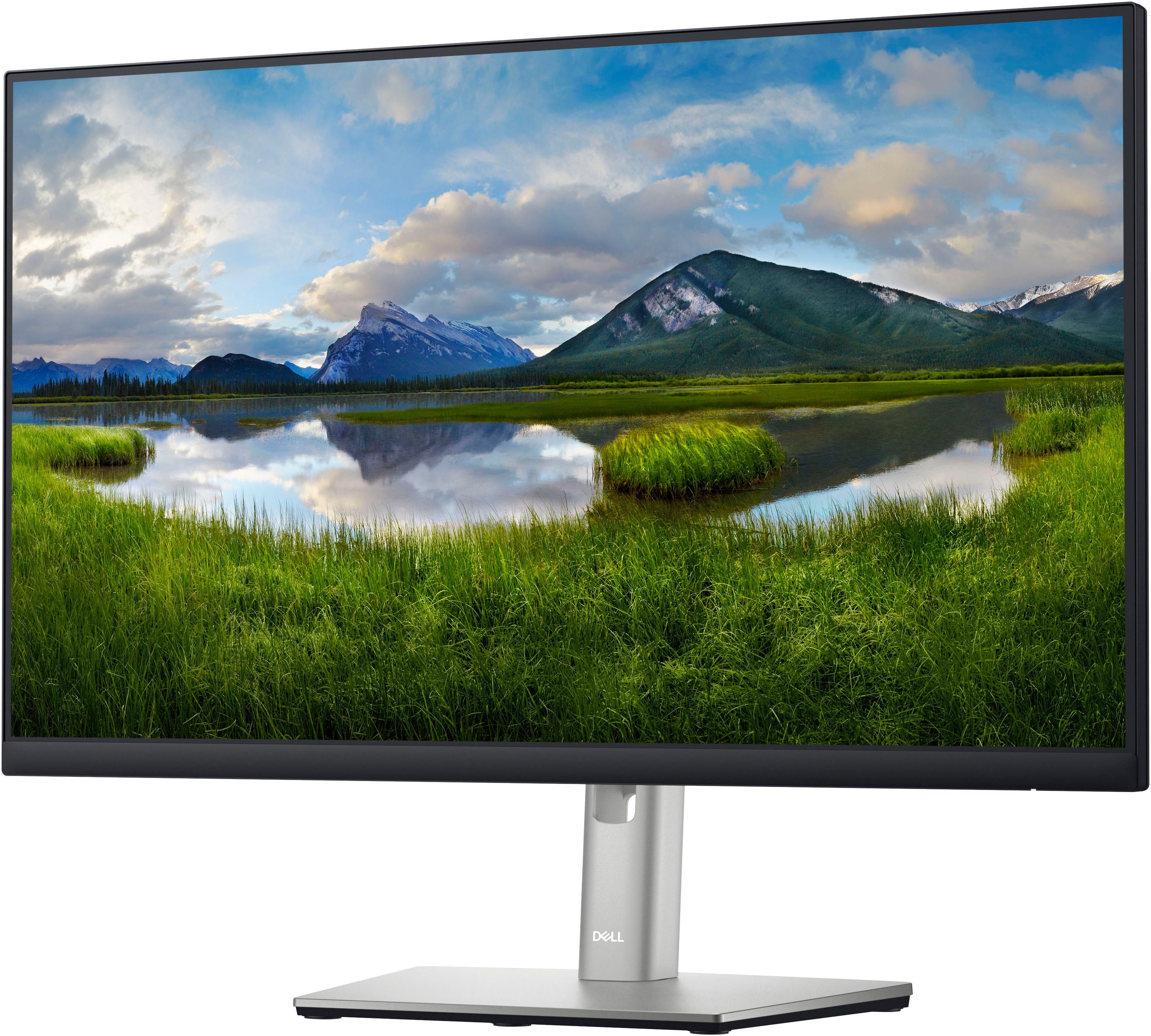 Dell P2422H LED-Monitor (61 cm/24 ", 1920 x 1080 px, Full HD, 8 ms Reaktionszeit, 60 Hz, IPS-LED)