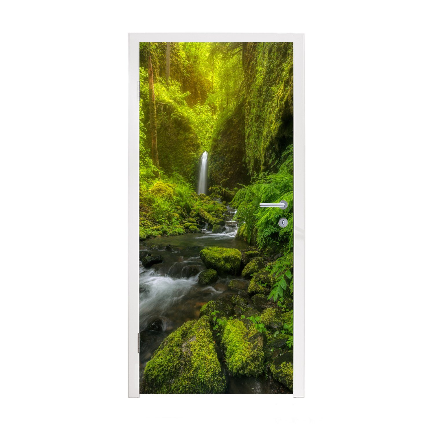 Dschungel, für Tür, MuchoWow Türaufkleber, (1 75x205 bedruckt, St), Bild Fototapete Türtapete Matt, vom cm Schönes