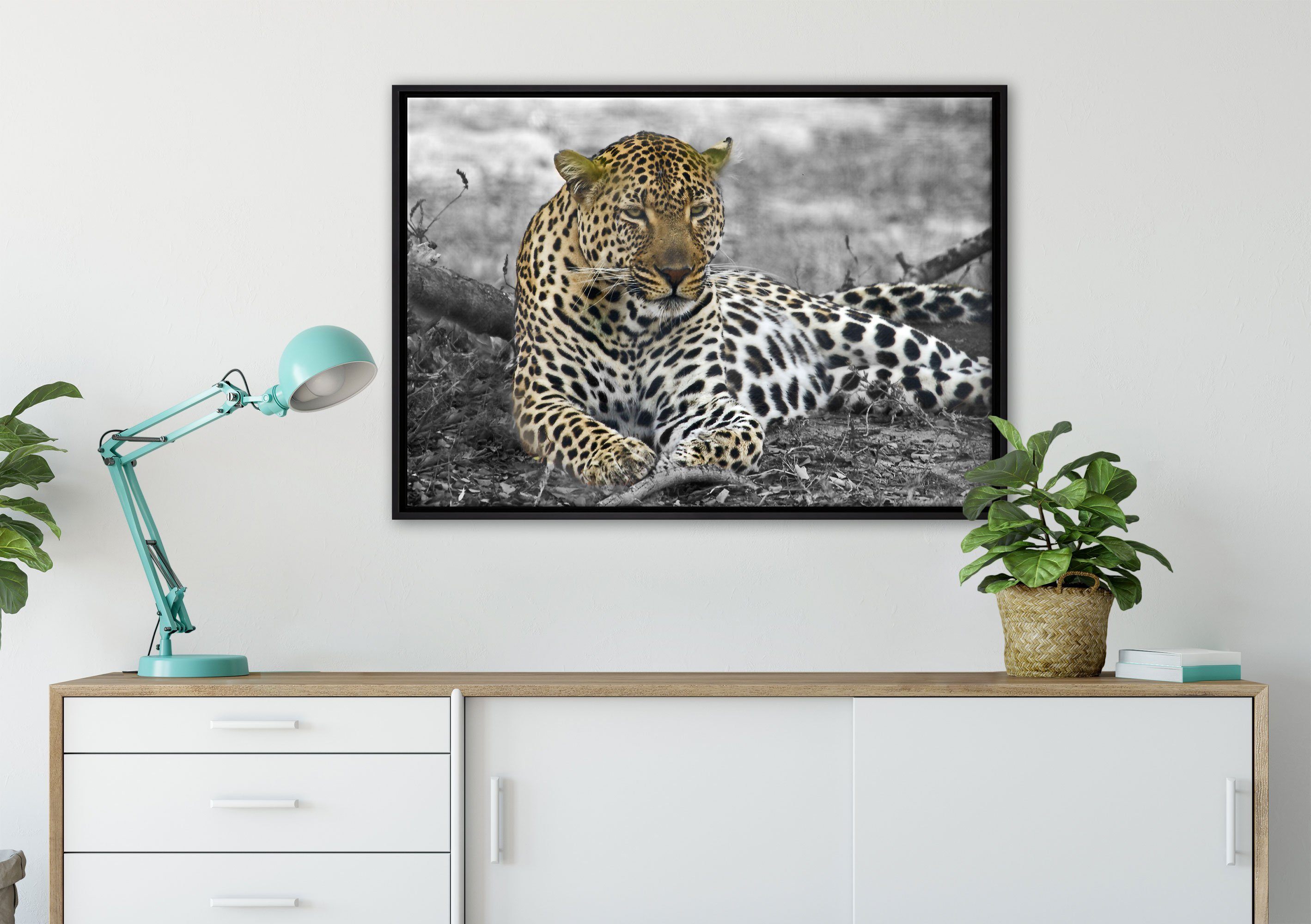liegt Leopard Schattenfugen-Bilderrahmen fertig gefasst, in Laub, (1 Zackenaufhänger im schöner Leinwandbild Leinwandbild bespannt, Pixxprint St), Wanddekoration einem inkl.
