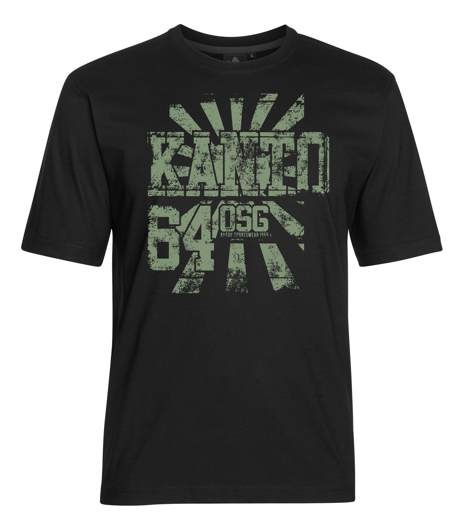 Herren Shirts AHORN SPORTSWEAR T-Shirt KANTO mit modischem Frontprint