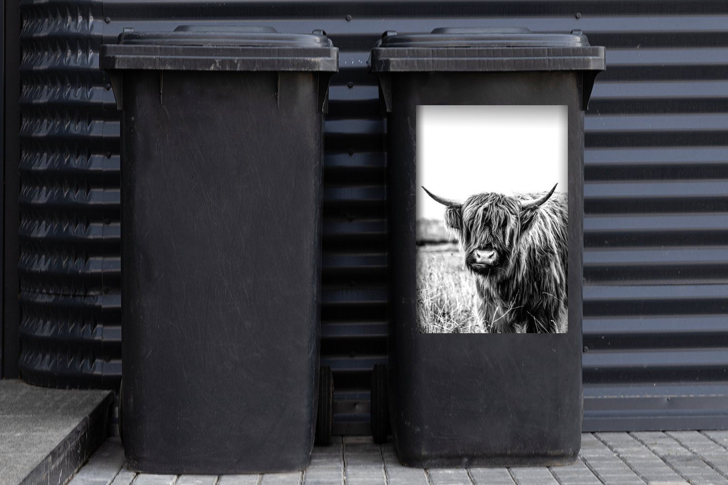 Highlander weiß St), Mülleimer-aufkleber, MuchoWow Sticker, - Mülltonne, schwarz Wandsticker Container, (1 und Wiederkäuender schottischer Abfalbehälter
