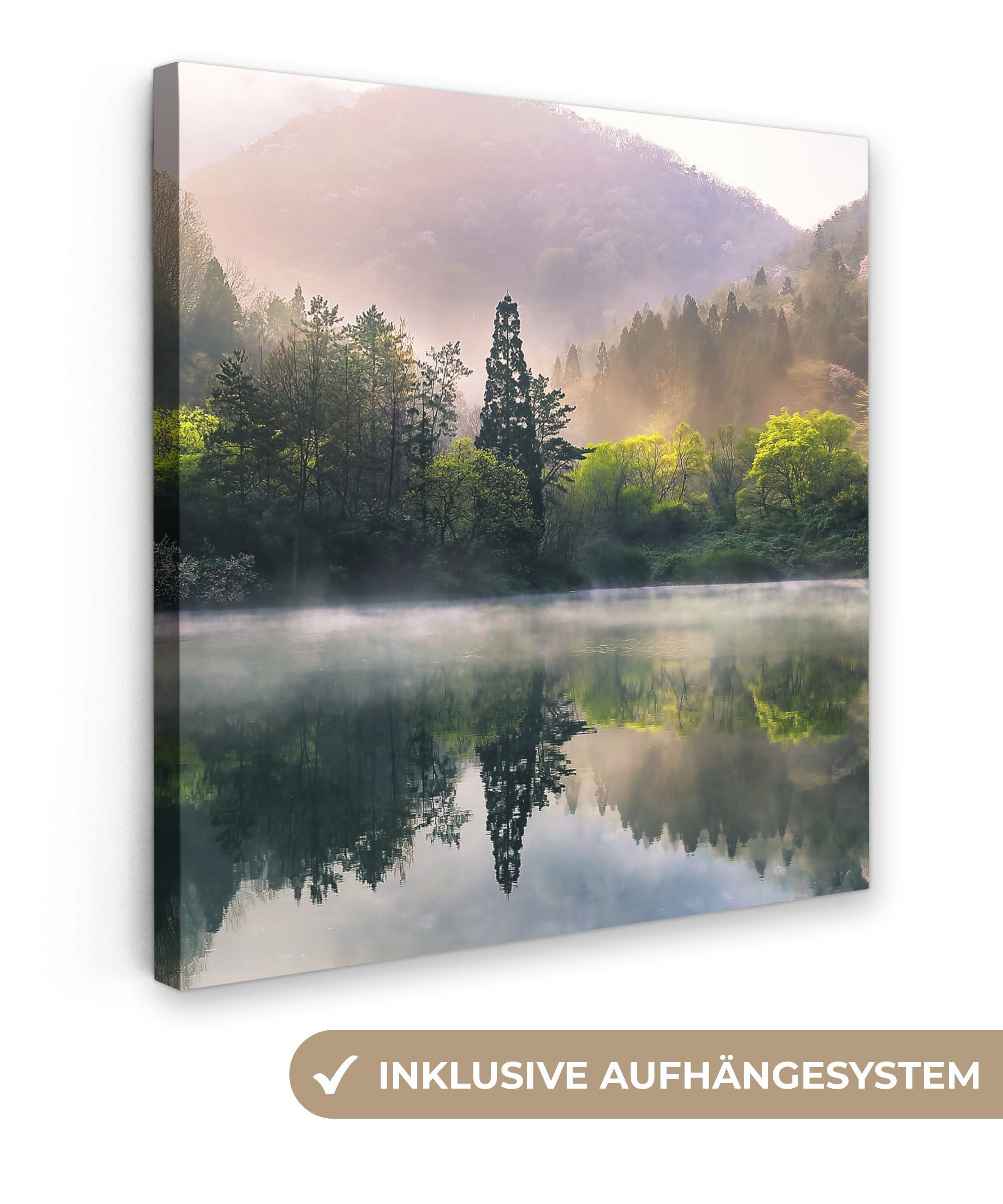 OneMillionCanvasses® Leinwandbild Natur - Bäume - günstig online kaufen