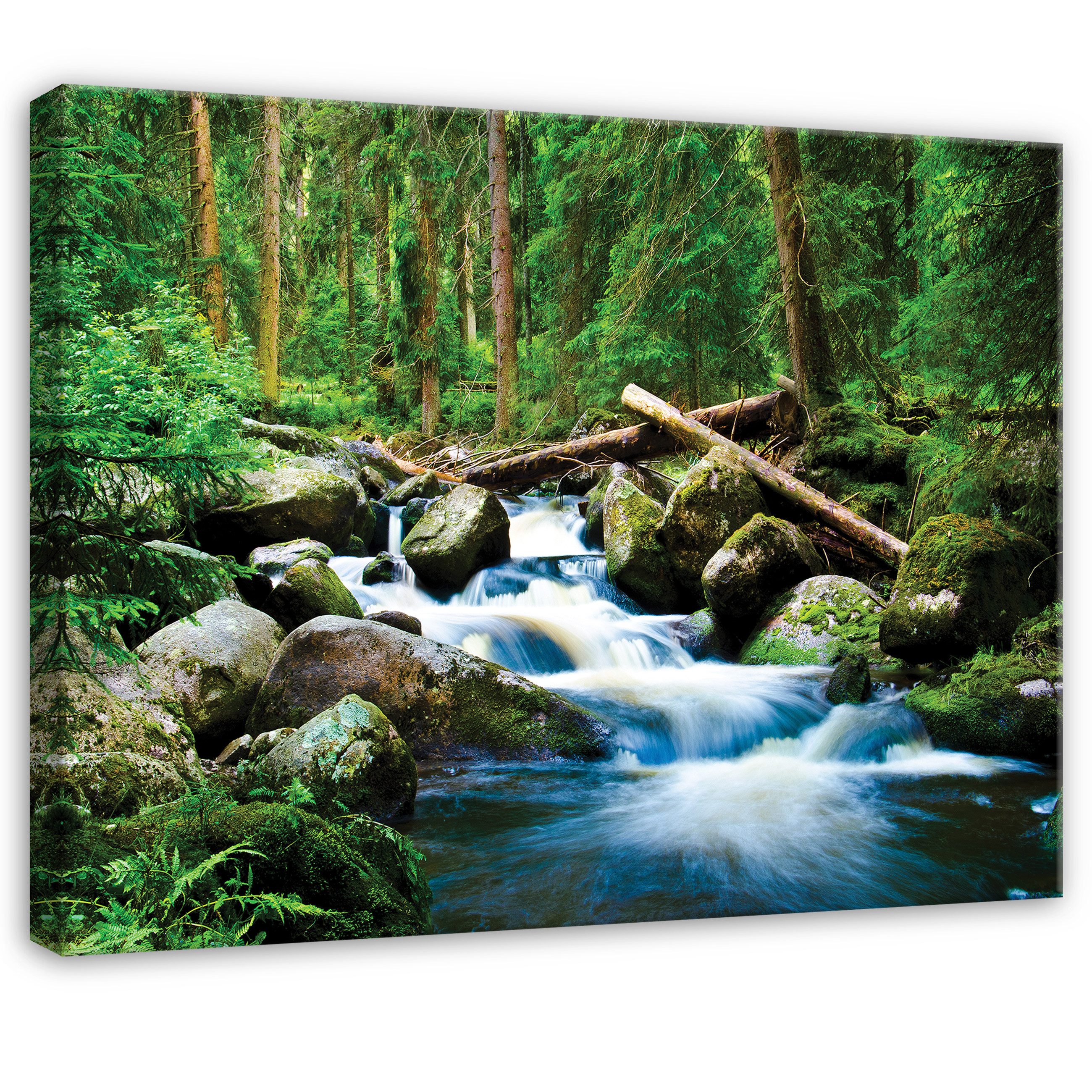 Wallarena Leinwandbild Wald Fluss - Grün - Modern - Wohnzimmer, Wald, 40x30x2cm