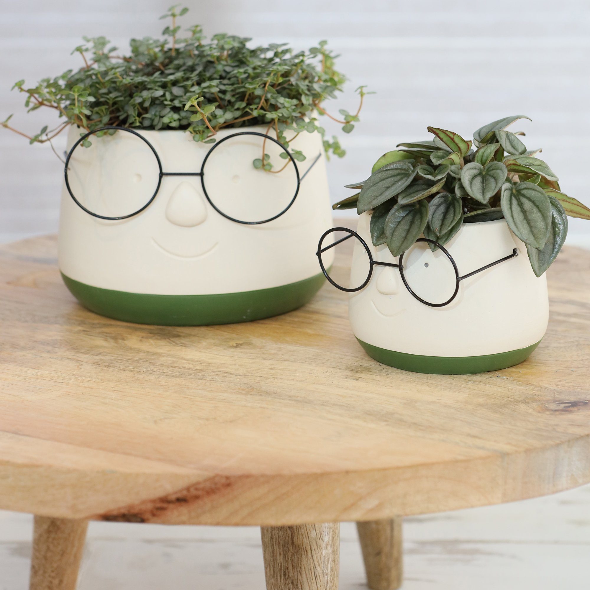 Annastore Übertopf Blumenübertöpfe in witzigem Design günstig online kaufen