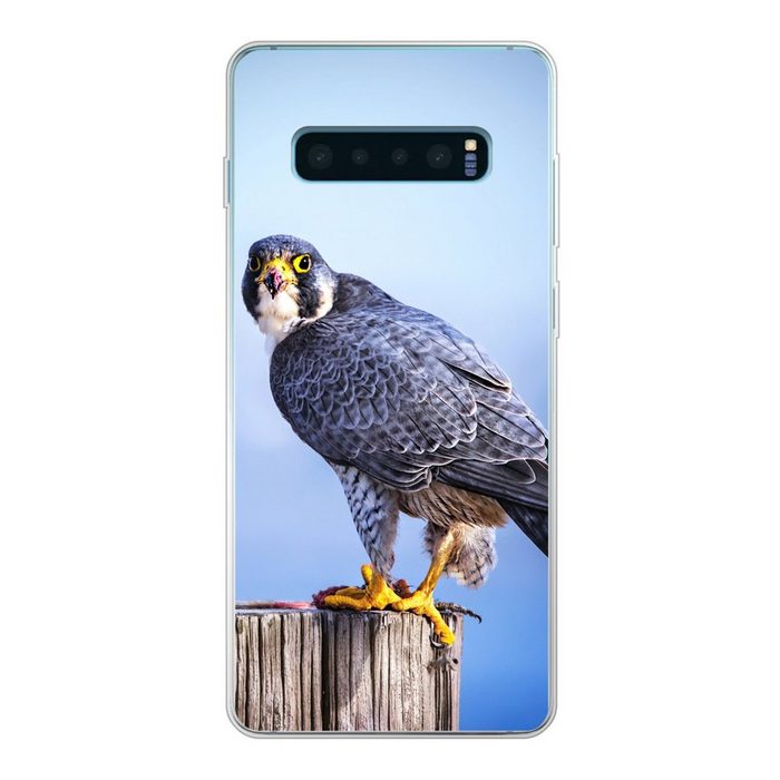 MuchoWow Handyhülle Nahaufnahme eines Raubvogels auf einer dicken Holzstange Phone Case Handyhülle Samsung Galaxy S10+ Silikon Schutzhülle