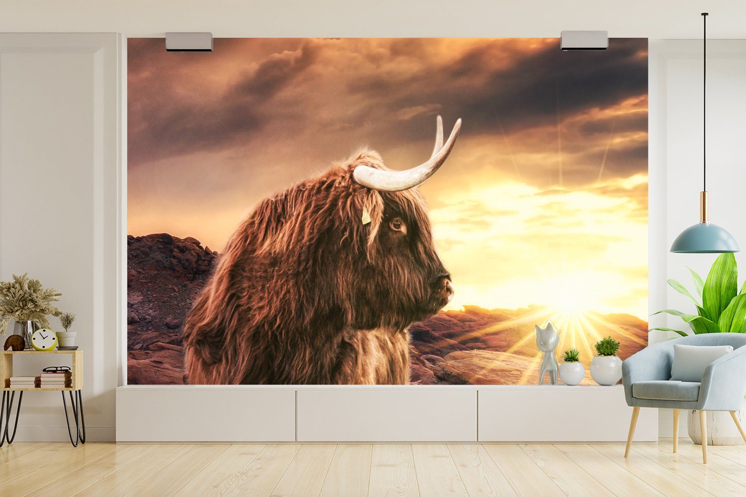 Tiere, Matt, (6 Horizont Sonne Vinyl für MuchoWow St), Tapete - - Schottischer Schlafzimmer, Wohnzimmer, bedruckt, Wallpaper Kinderzimmer, Hochländer - - Kuh Fototapete