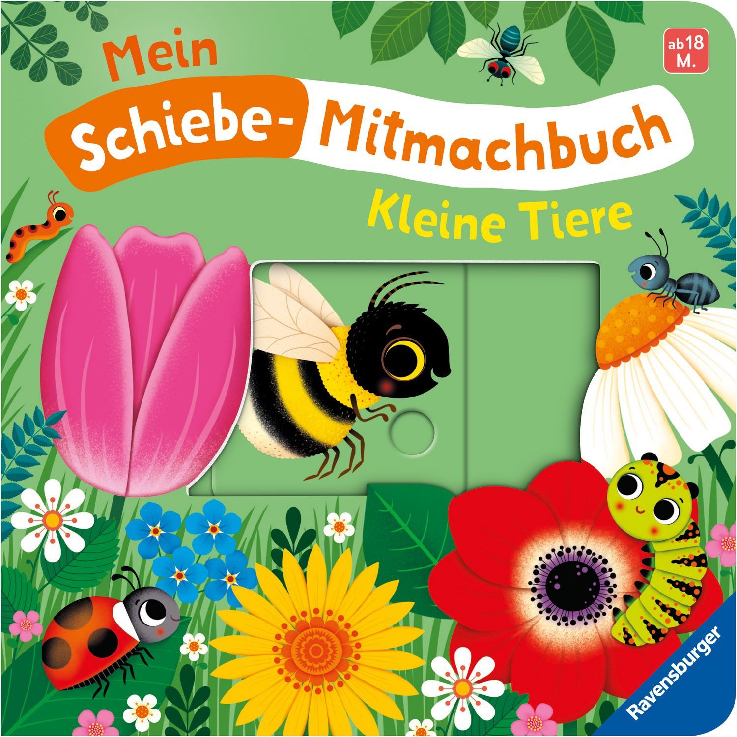 Mein Schiebe-Mitmachbuch - Kleine Tiere / Bernd Penners