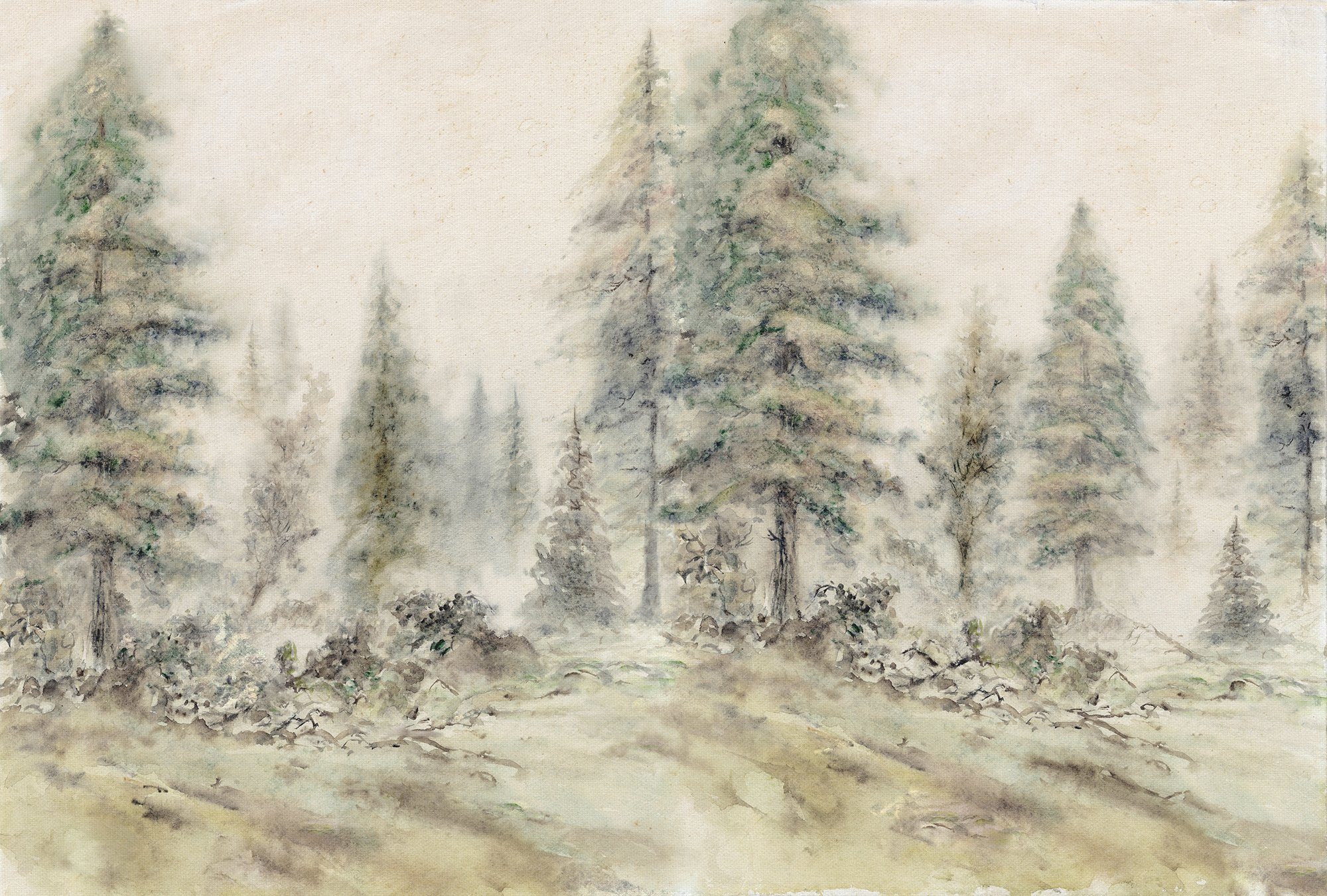 Architects Paper Fototapete Atelier 47 Aquarel Forest 2, glatt, Wald, (4 St), Vlies, Wand, Schräge, Decke