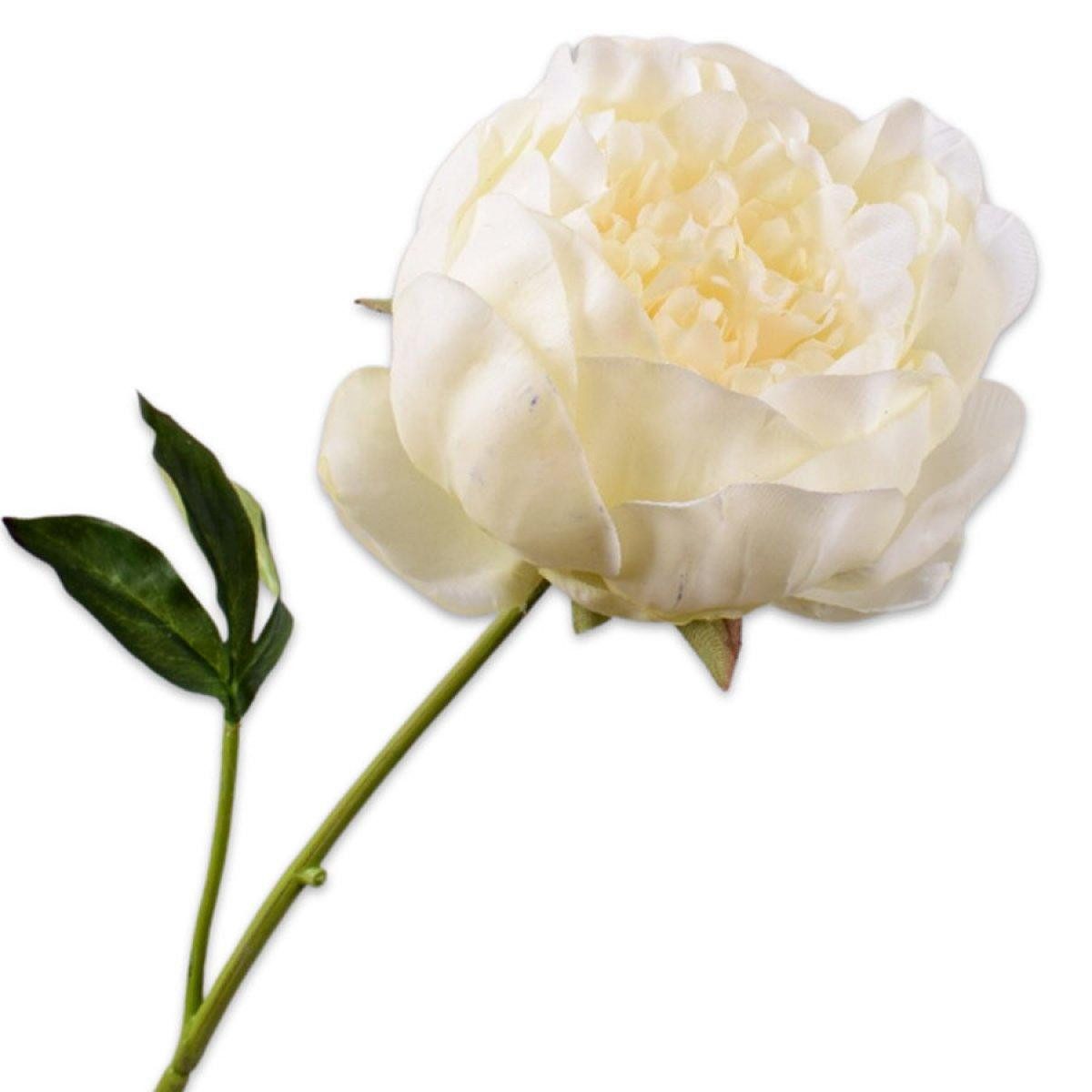 Künstliche Zimmerpflanze Seidenblume Pfingstrose Creme (52cm), SILK-KA