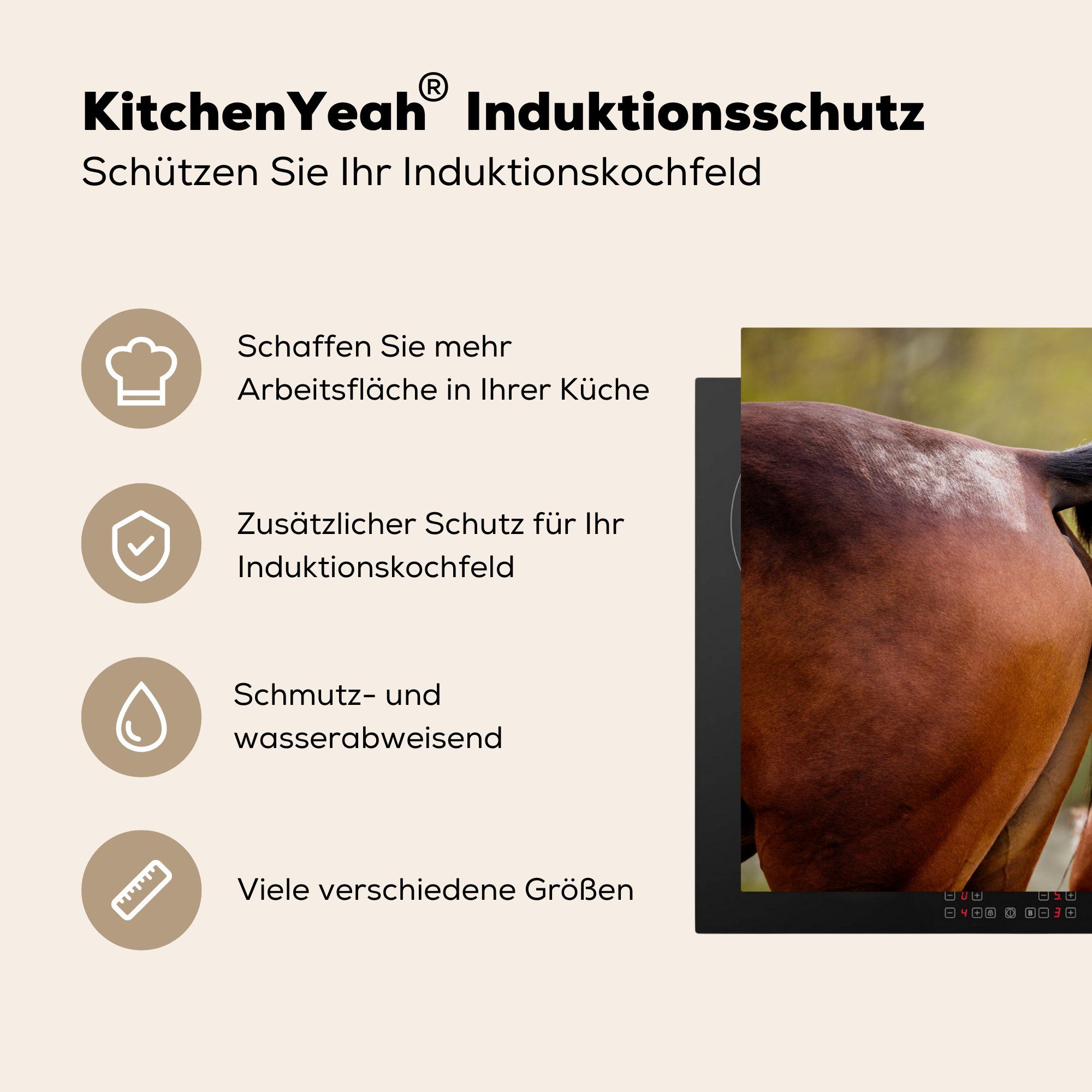 Braun, 81x52 für Schutz - küche, Natur Induktionskochfeld MuchoWow Vinyl, - Pferde Herdblende-/Abdeckplatte cm, tlg), Ceranfeldabdeckung (1 die