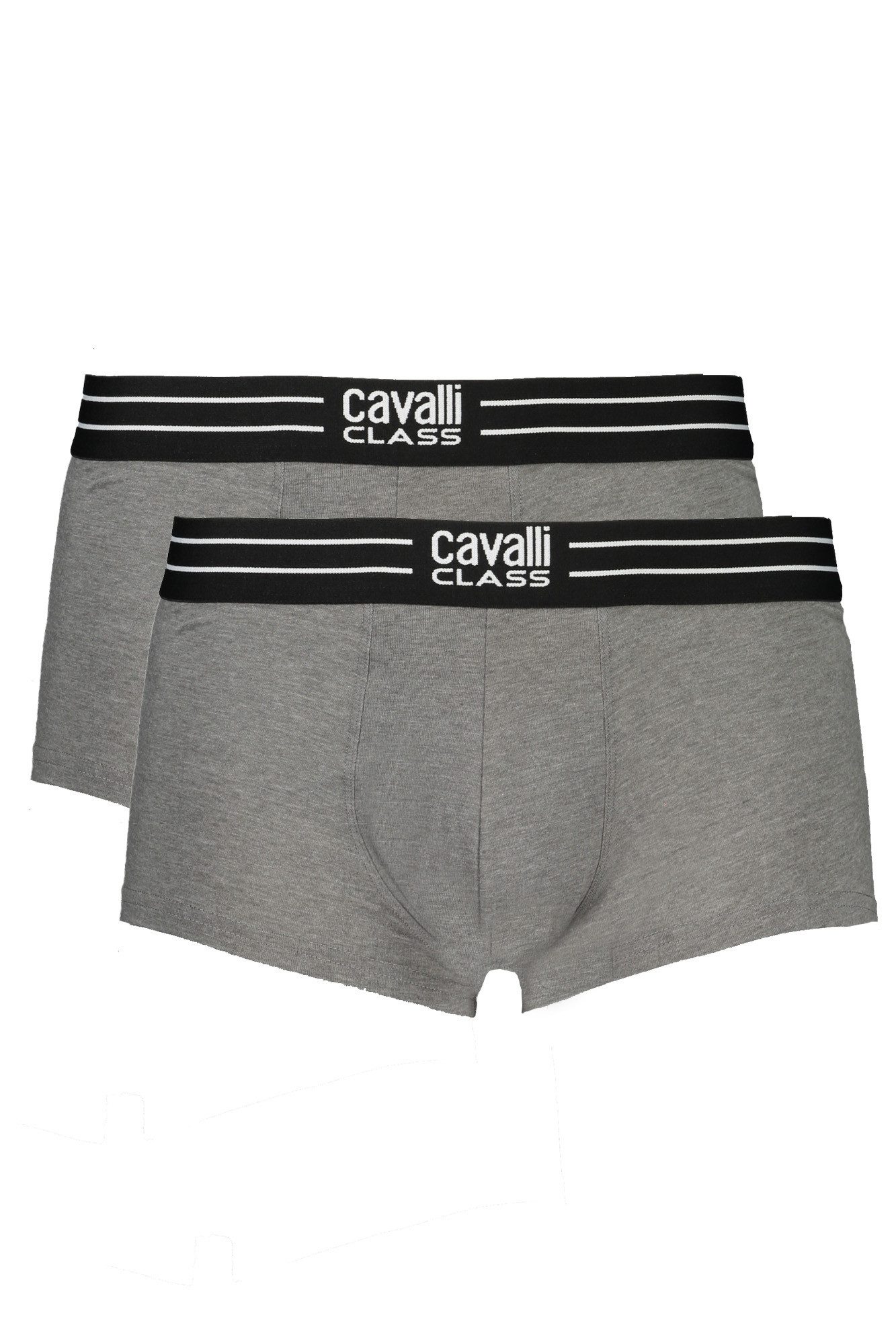 Cavalli Class Boxershorts Herren Boxershorts Grau: Parigamba Doppelpack mit Print & Bund