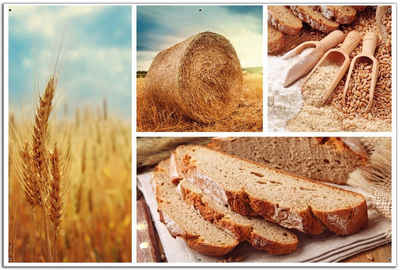 Wallario Sichtschutzzaunmatten Weizen und Mehl Vom Korn zum Brot