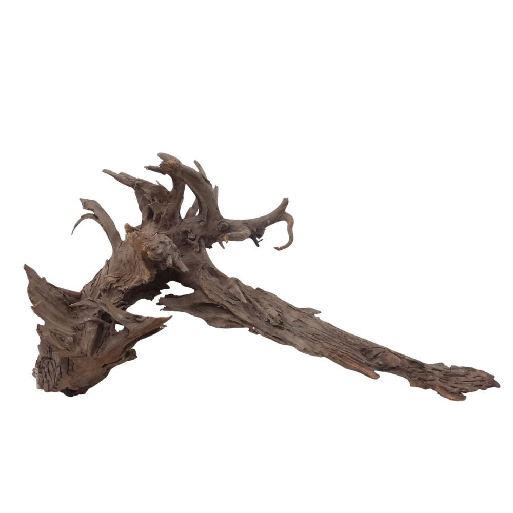 Aquaone Aquarium XXL Mangrovenwurzel Nr.3009 Holz Deko Aquascaping