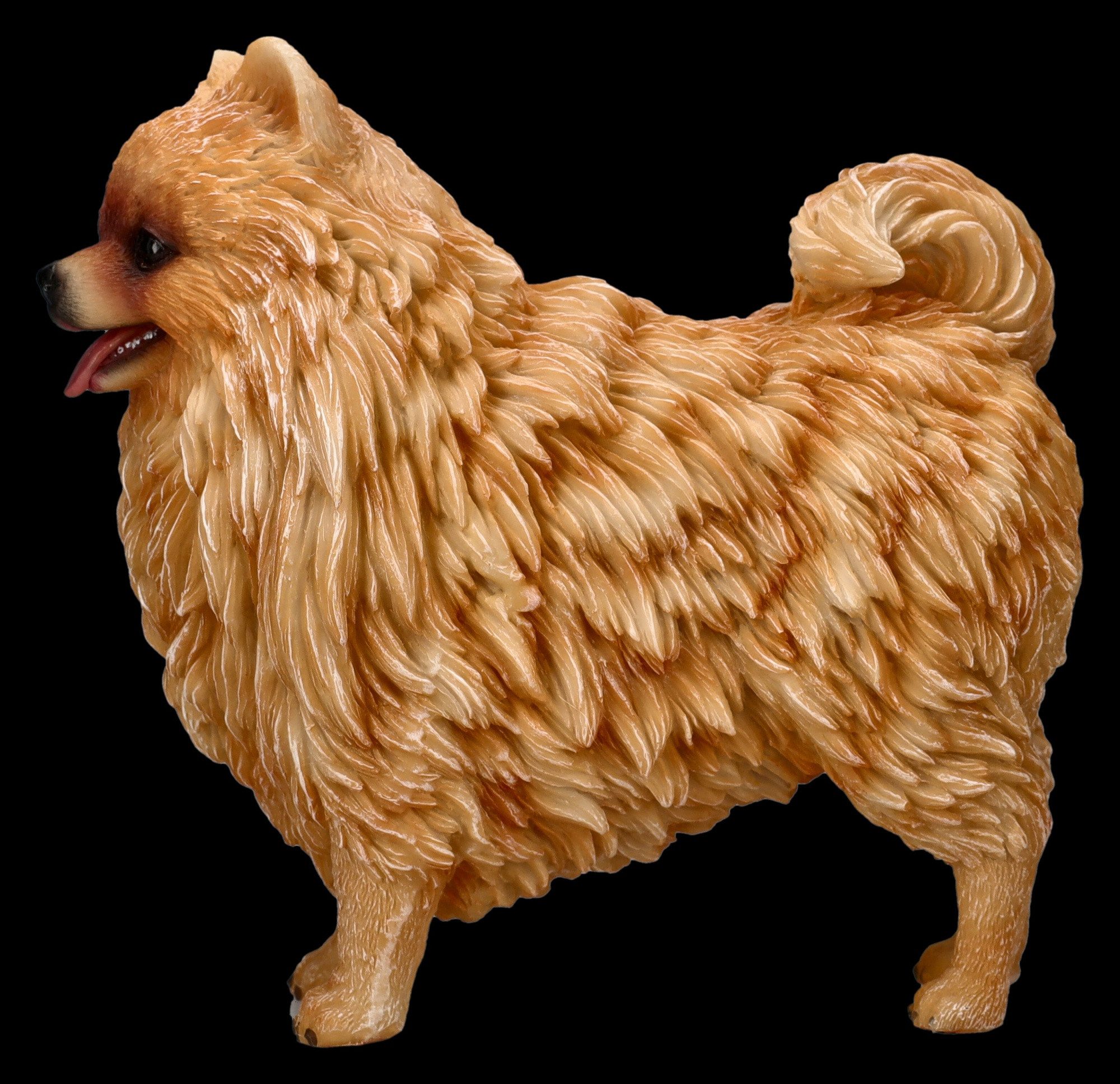 Figuren Shop GmbH Tierfigur Hunde Figur - Zwergspitz Pomeranian - Tierfigur Dekofigur Hund Deko