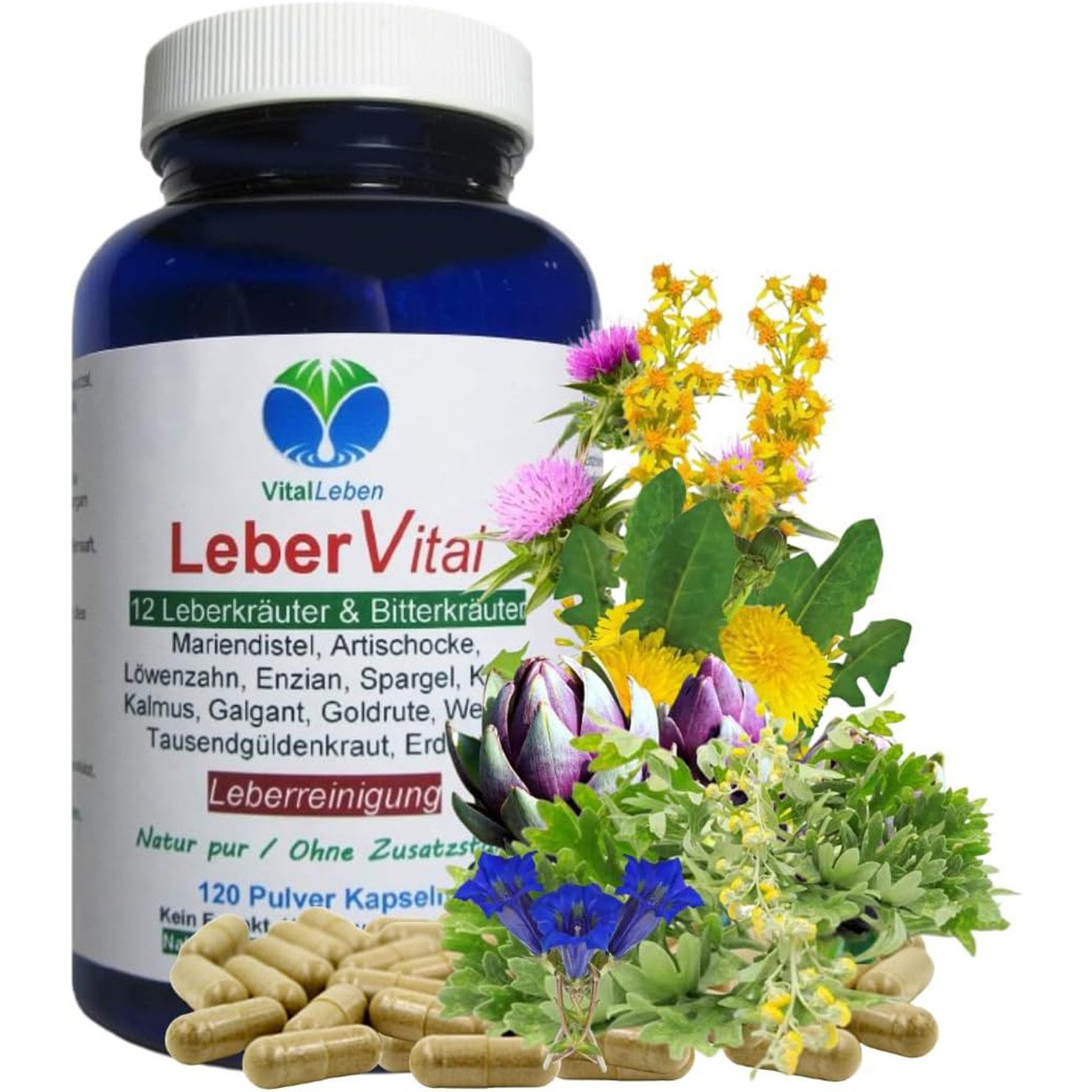 VitalLeben Leber Vital Komplex 12 KRÄUTER & BITTERSTOFFE NATUR pur Kapseln, 1 er Dose à 120 St., 55,2 g, Art. 26471-120