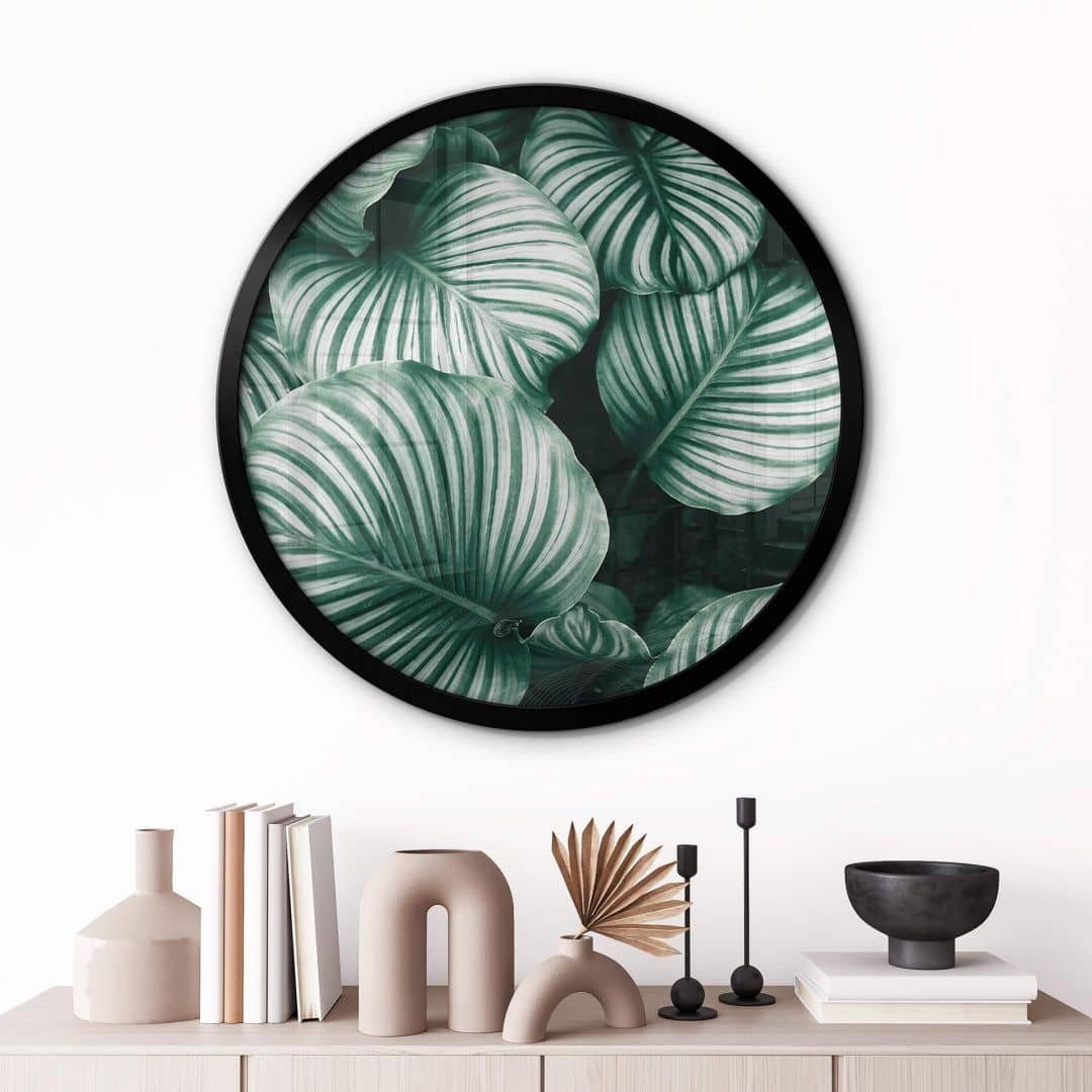 Poster Wandbild Poster Rund Dschungel Grün Urban Jungle Calathea Orbifolia