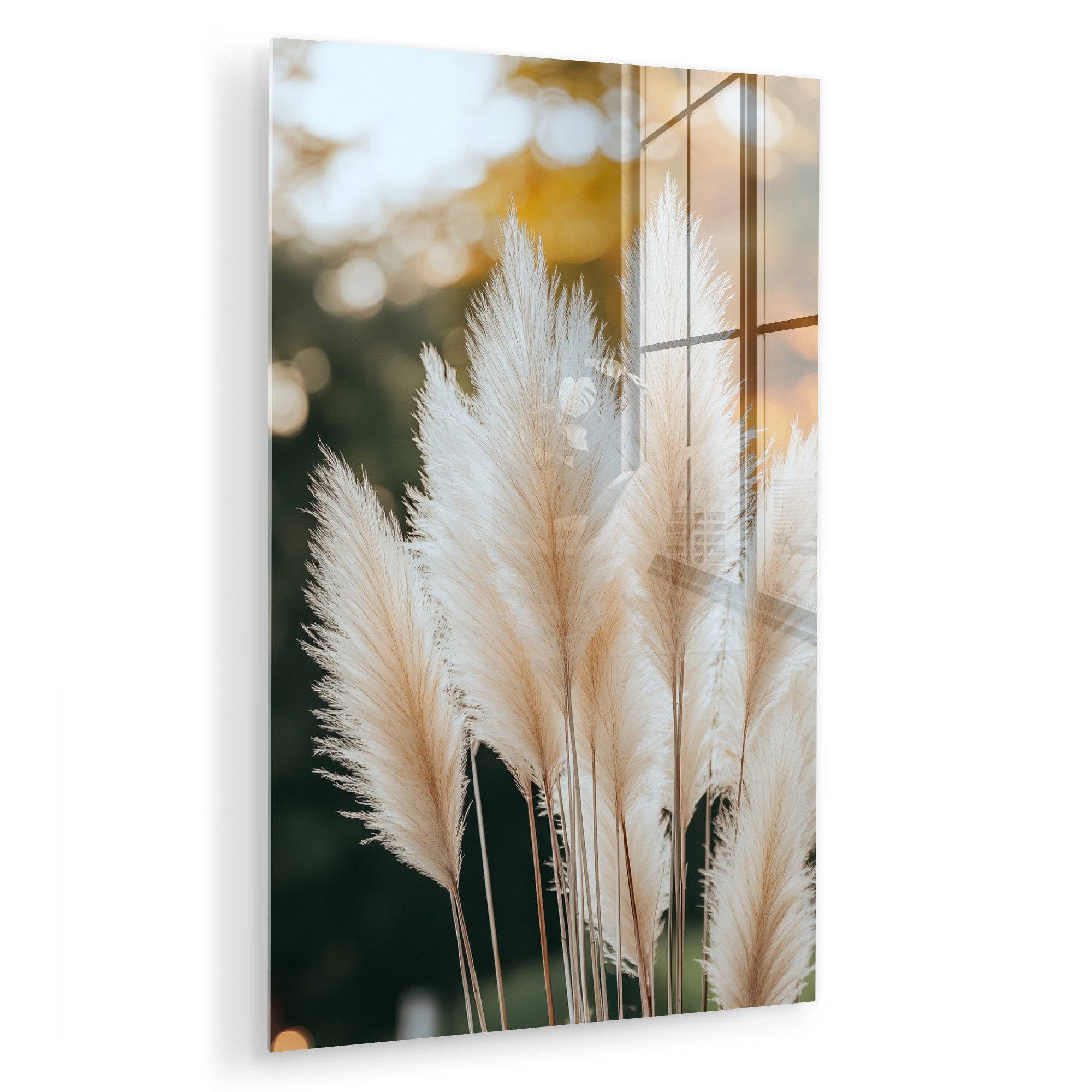 MuchoWow Acrylglasbild Pampasgras - Federn - günstig online kaufen