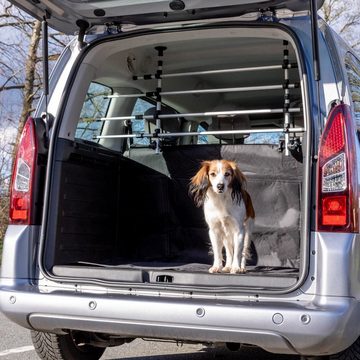 TRIXIE Hundegitter AutoGitter für Vans Caddys und Kleinbusse