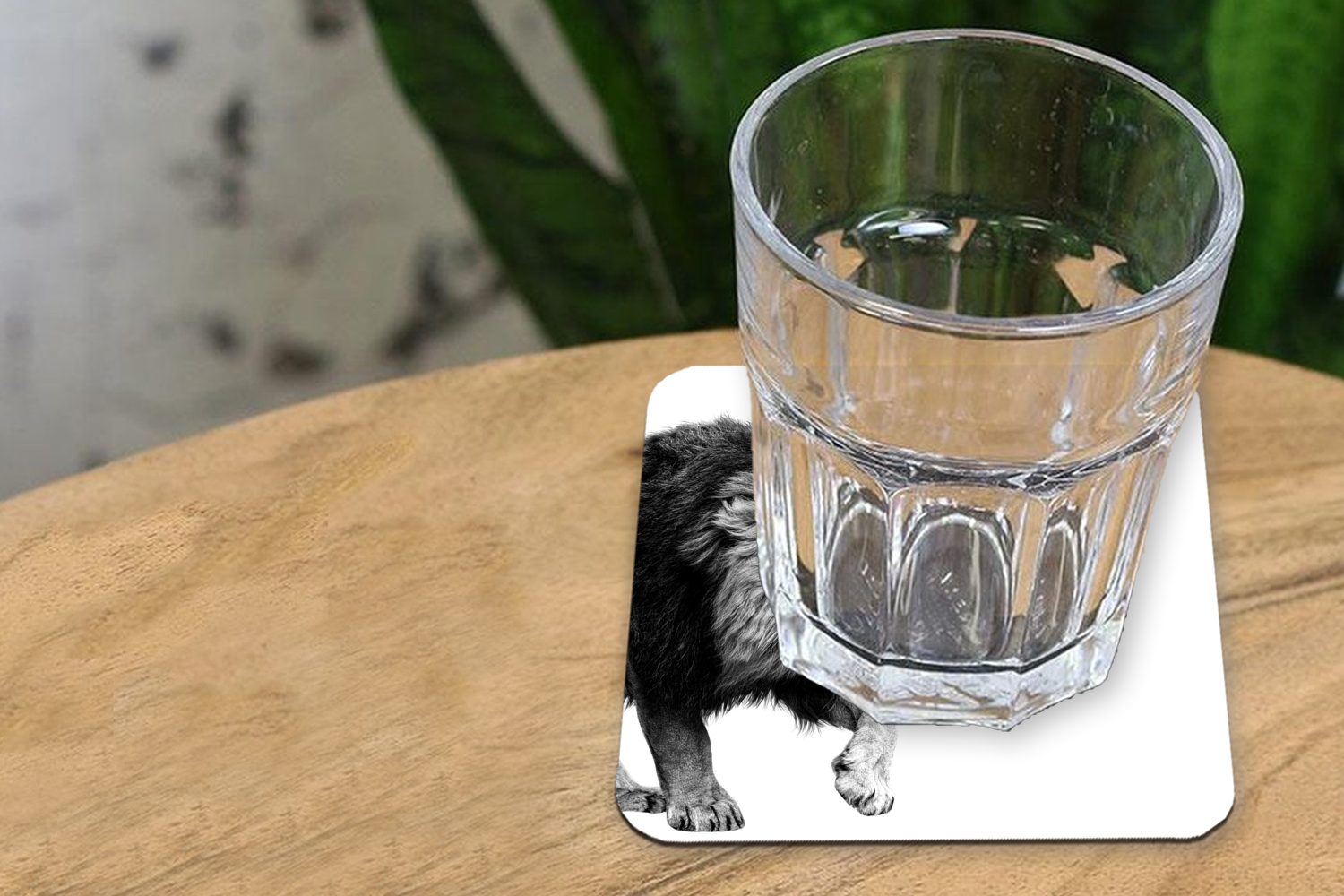 Gläser, Löwe MuchoWow Tasse - Schwarz Tiere - Glasuntersetzer 6-tlg., Tischuntersetzer, - für Weiß, Korkuntersetzer, Zubehör Untersetzer, Glasuntersetzer,