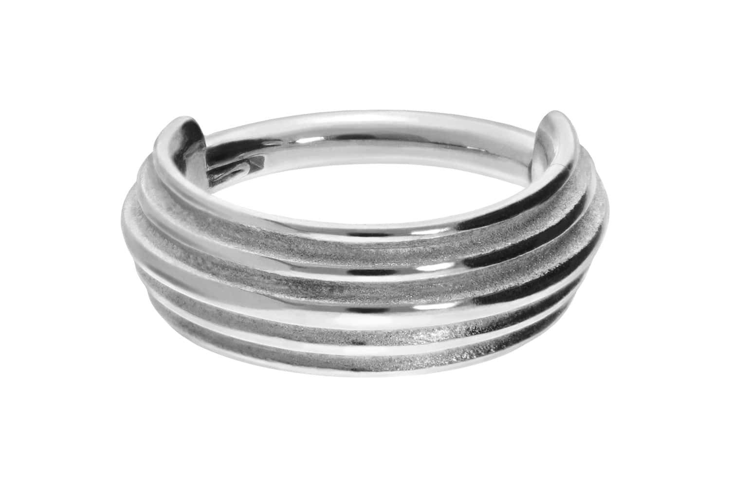 PIERCINGLINE Nasenpiercing Chirurgenstahl Segmentring Clicker 5 RINGE Ohrpi günstig online kaufen