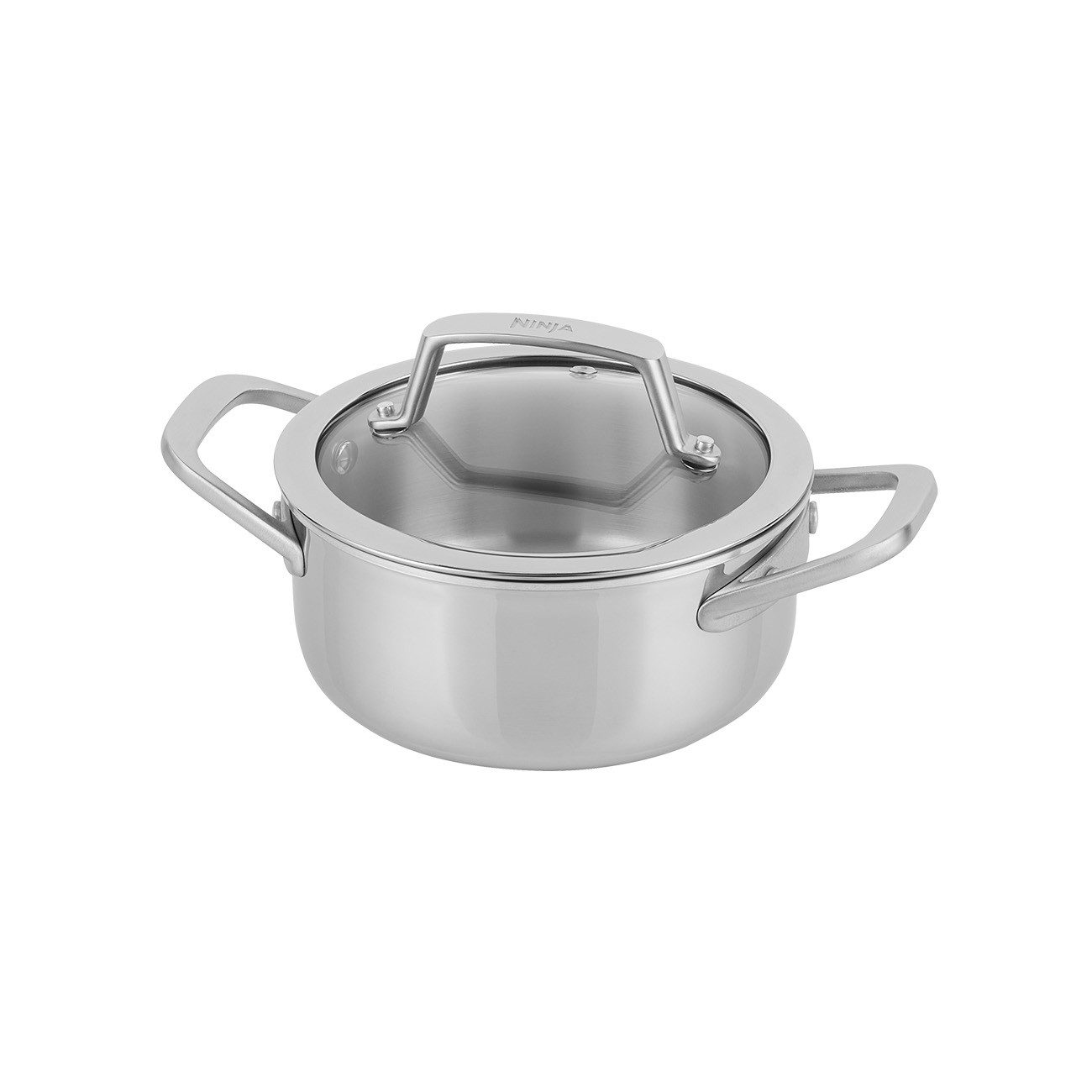 NINJA Kochtopf EverClad Suppentopf aus Edelstahl (20 cm), Edelstahl