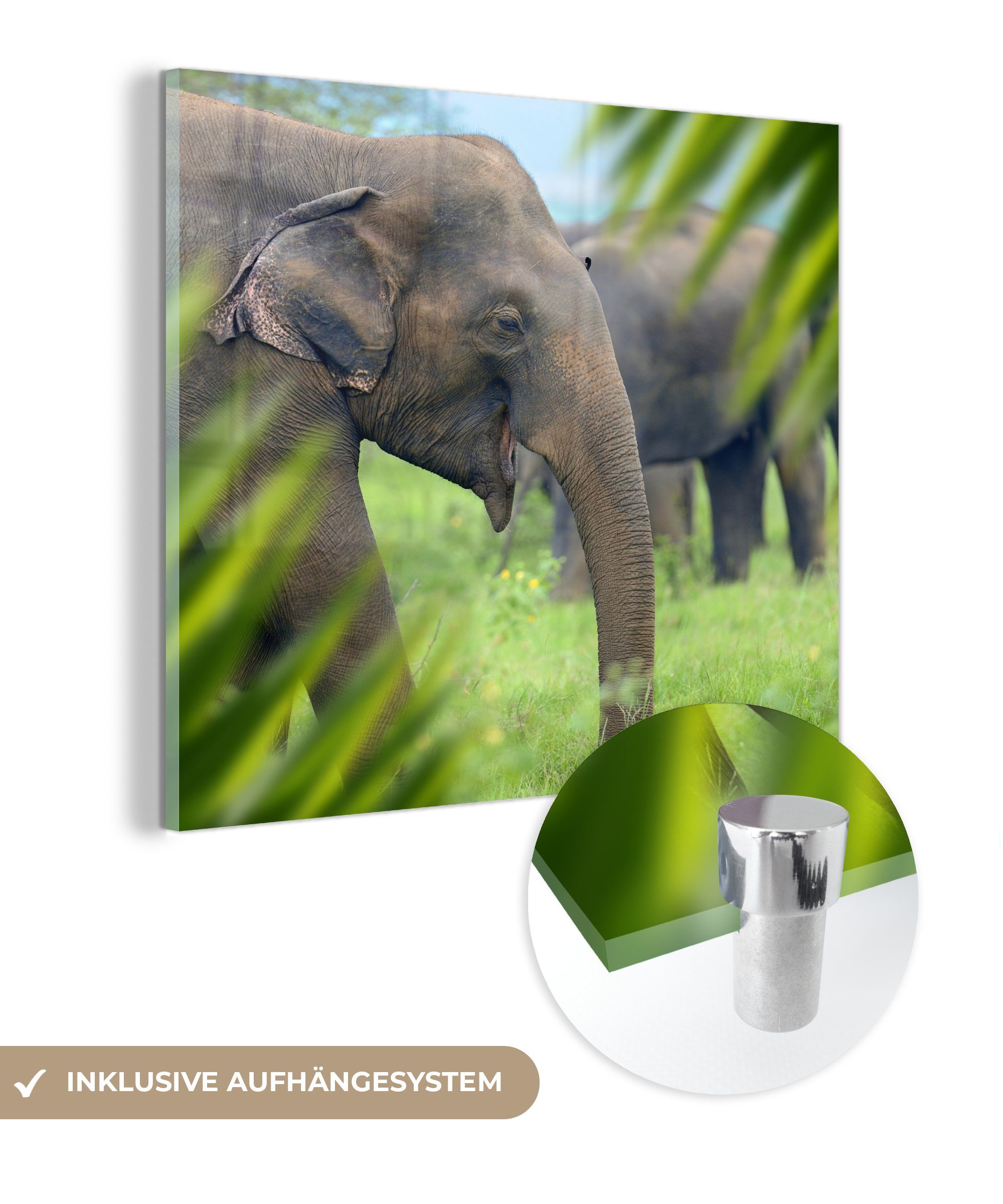 MuchoWow Acrylglasbild Elefant - Palme - Tiere, (1 St), Glasbilder - Bilder auf Glas Wandbild - Foto auf Glas - Wanddekoration