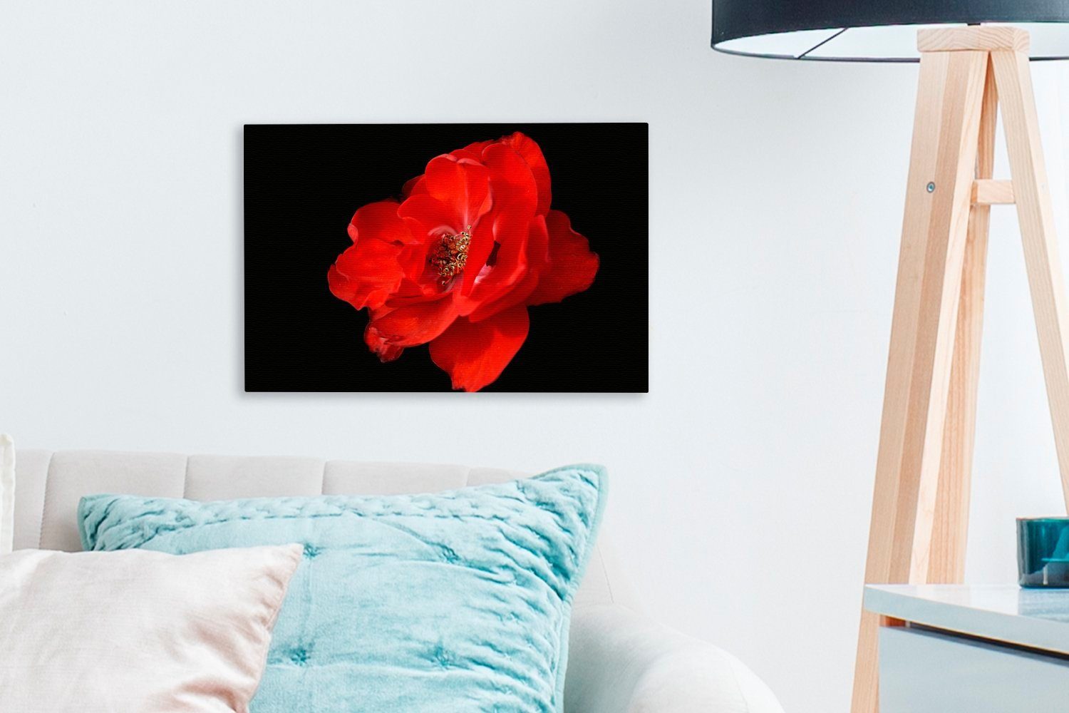 OneMillionCanvasses® Leinwandbild Eine rote Pfingstrose Wandbild Wanddeko, St), Aufhängefertig, 30x20 Hintergrund, auf (1 schwarzem cm Leinwandbilder