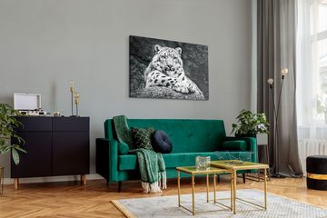 Sinus Art Leinwandbild 120x80cm Wandbild auf Leinwand Schneeleopard Schwarz Weiß Tierfotograf, (1 St)
