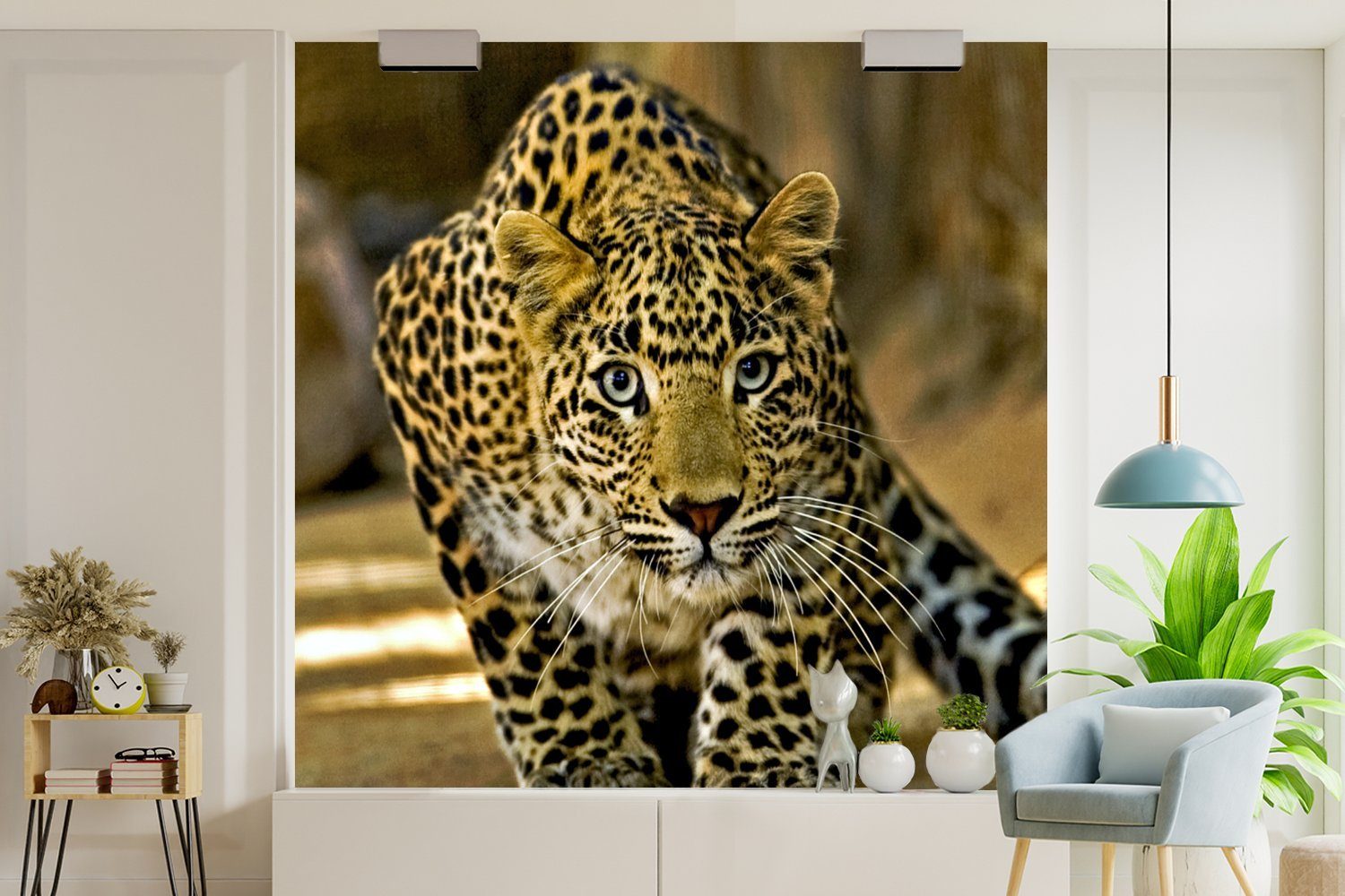 MuchoWow Fototapete Leopard - Raubtier Vinyl St), Wohnzimmer oder Porträt, - bedruckt, Schlafzimmer, (5 für Wandtapete Tapete Matt
