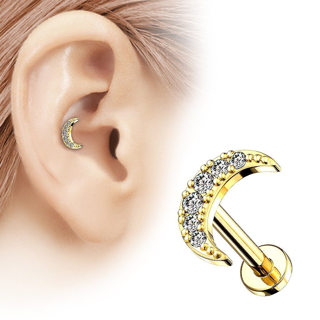 Taffstyle Piercing-Set Ohr Tragus Knorpel Lippen günstig online kaufen