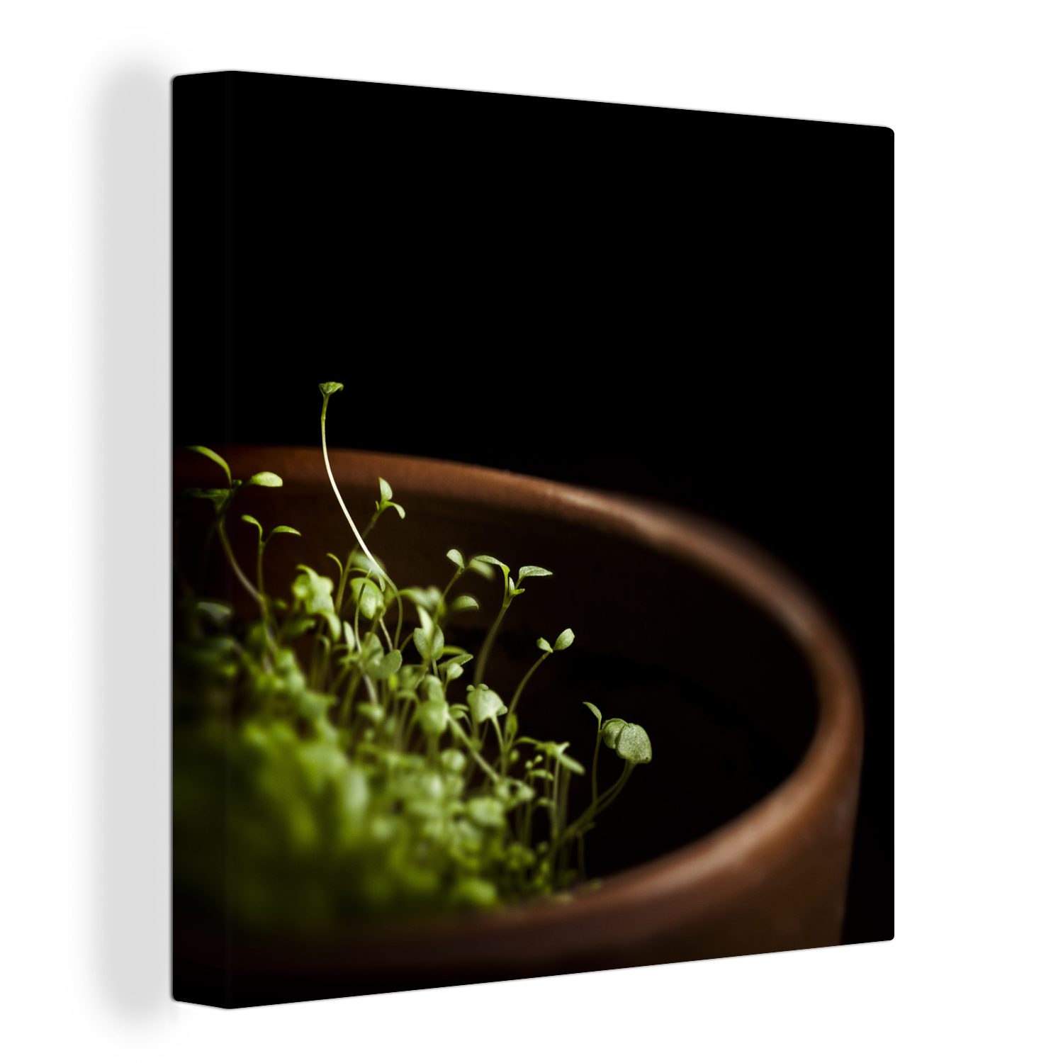 OneMillionCanvasses® Leinwandbild Pflanzung von Thymian in einem Tontopf, (1 St), Leinwand Bilder für Wohnzimmer Schlafzimmer