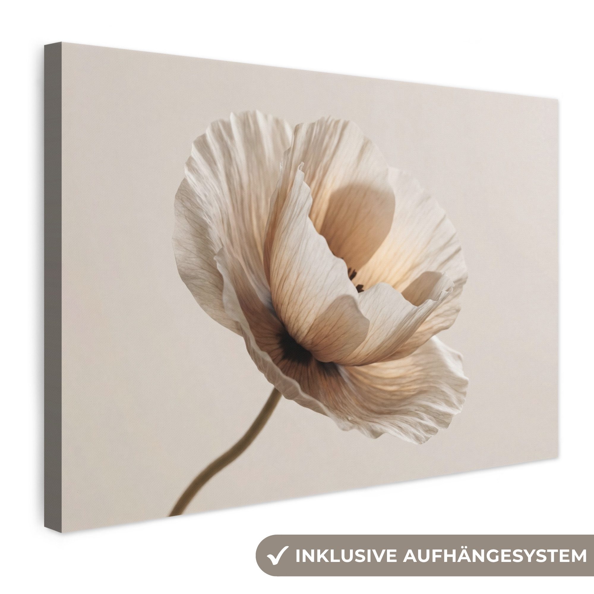 OneMillionCanvasses® Leinwandbild Blume - Beige - Creme, Fotodruck (1 St), Leinwand Bilder Klein, Wand Dekoration Aesthetic 30x20 cm