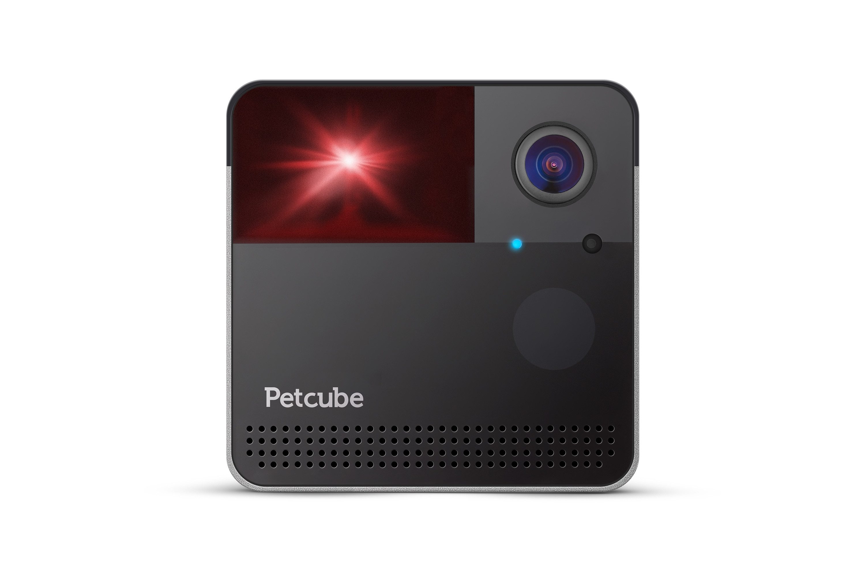 Petcube Überwachungskamera Petcube PLAY 2 Haustierkamera (Innenbereich, 1-tlg., 8-facher Digitalzoom)