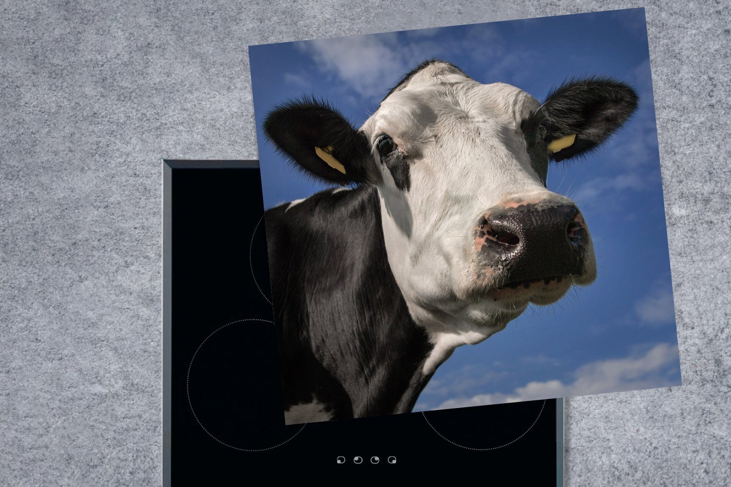 Herdblende-/Abdeckplatte - Tiere, Nase Kuh cm, - tlg), Vinyl, (1 - Ceranfeldabdeckung, Arbeitsplatte für Weiß MuchoWow 78x78 küche