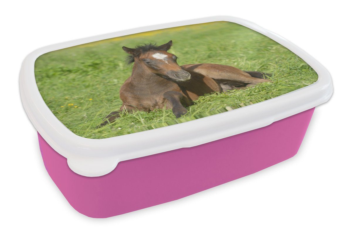 rosa Kunststoff Pferde Brotbox Gras, Mädchen, Lunchbox Snackbox, - Kinder, Brotdose - MuchoWow für Erwachsene, (2-tlg), Licht Kunststoff,